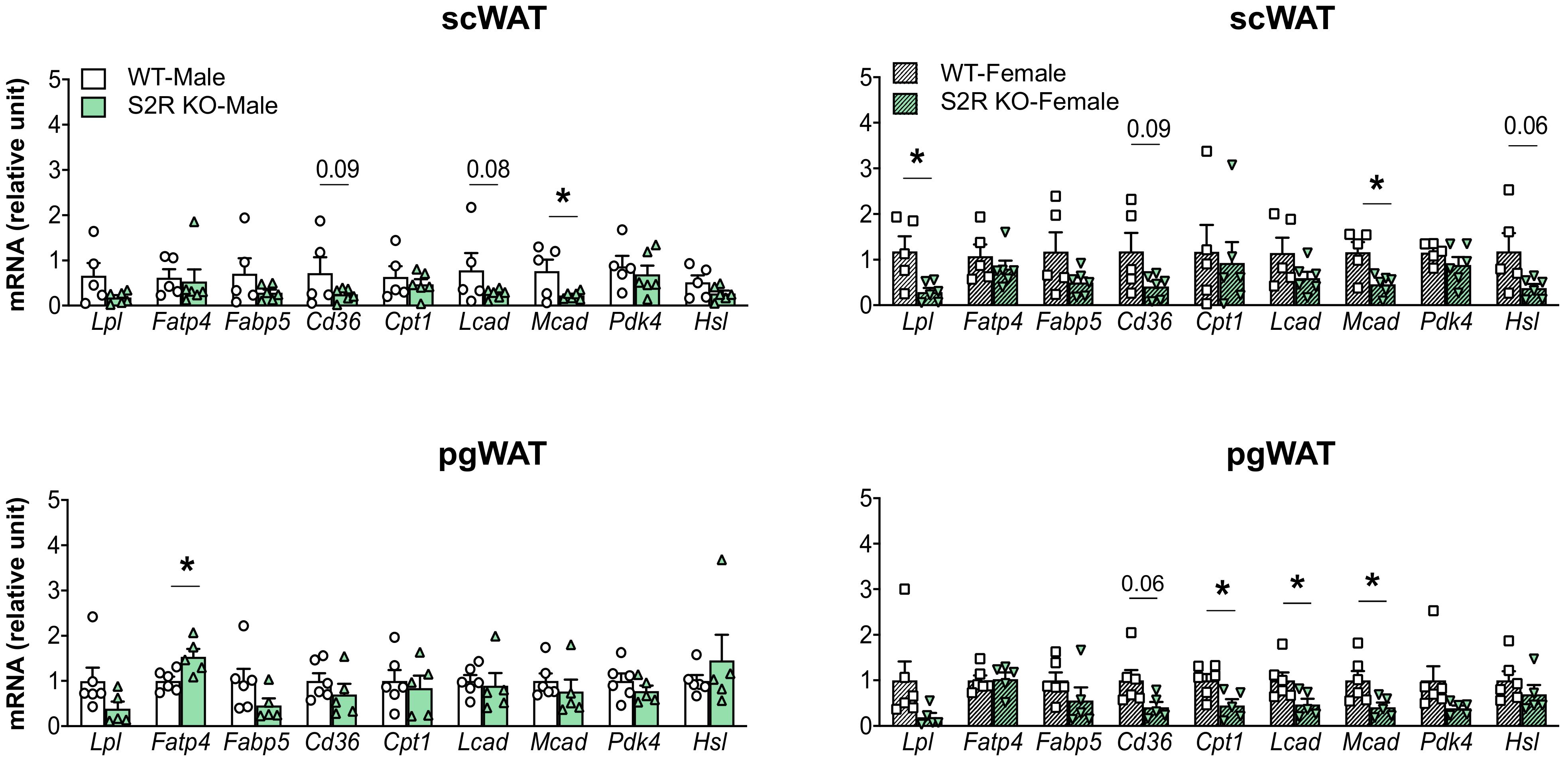 Ijms 23 10846 g006 Ijms 23 10846 g006