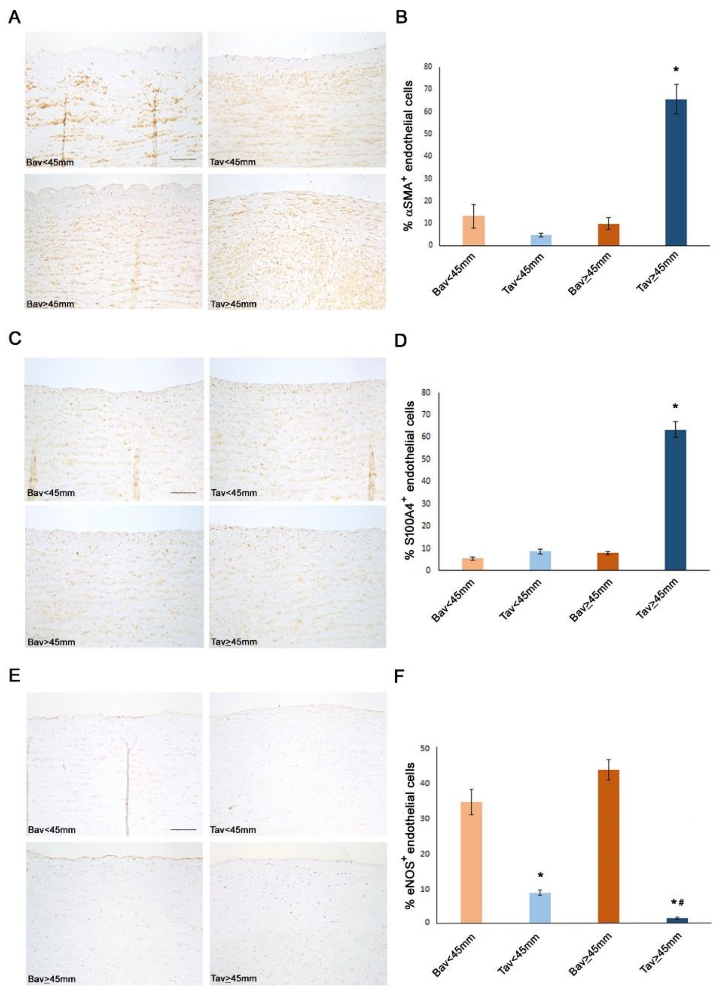 Ijms 23 10848 g002 Ijms 23 10848 g002