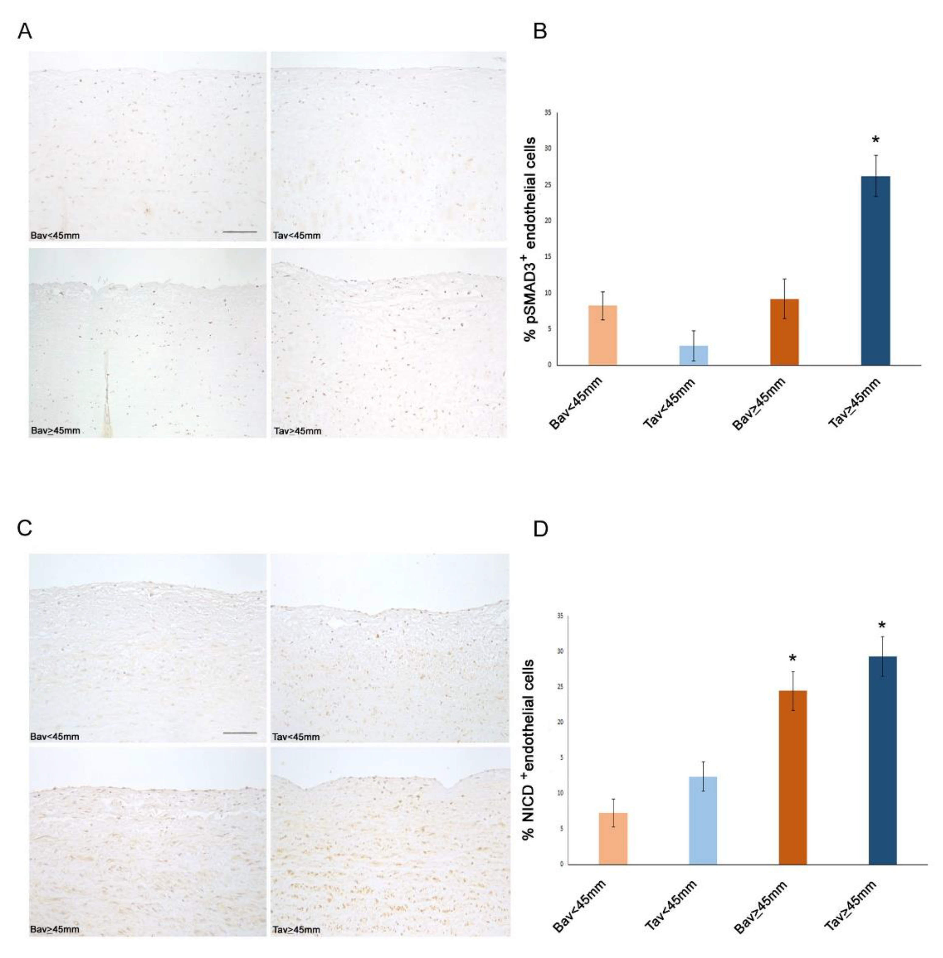 Ijms 23 10848 g003 Ijms 23 10848 g003