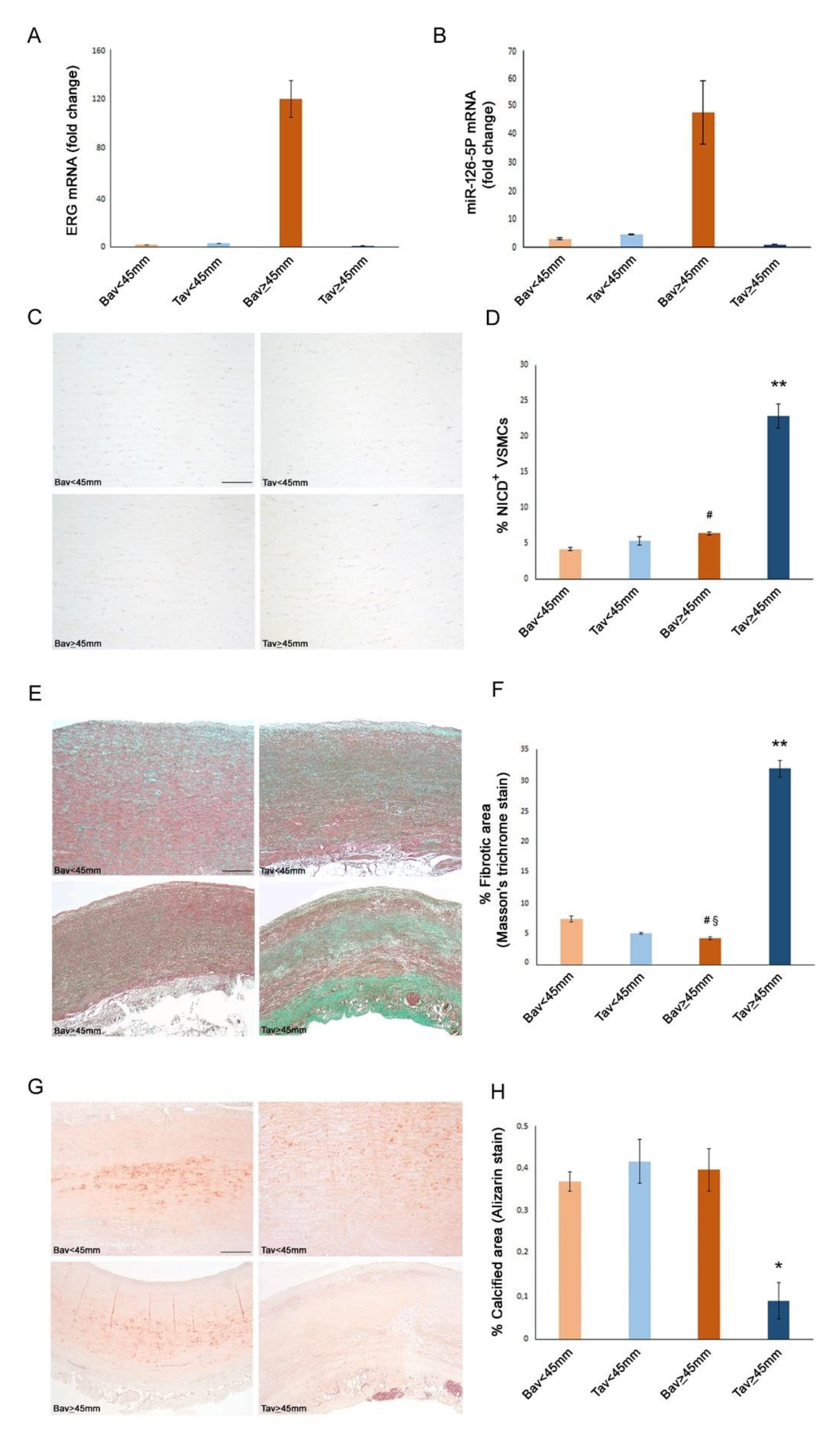 Ijms 23 10848 g004 Ijms 23 10848 g004