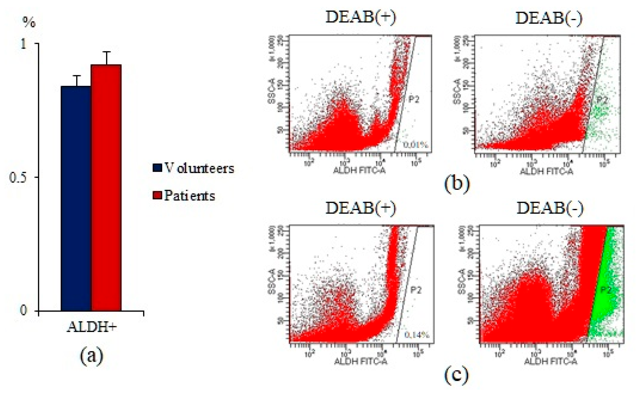Ijms 23 10853 g002 Ijms 23 10853 g002