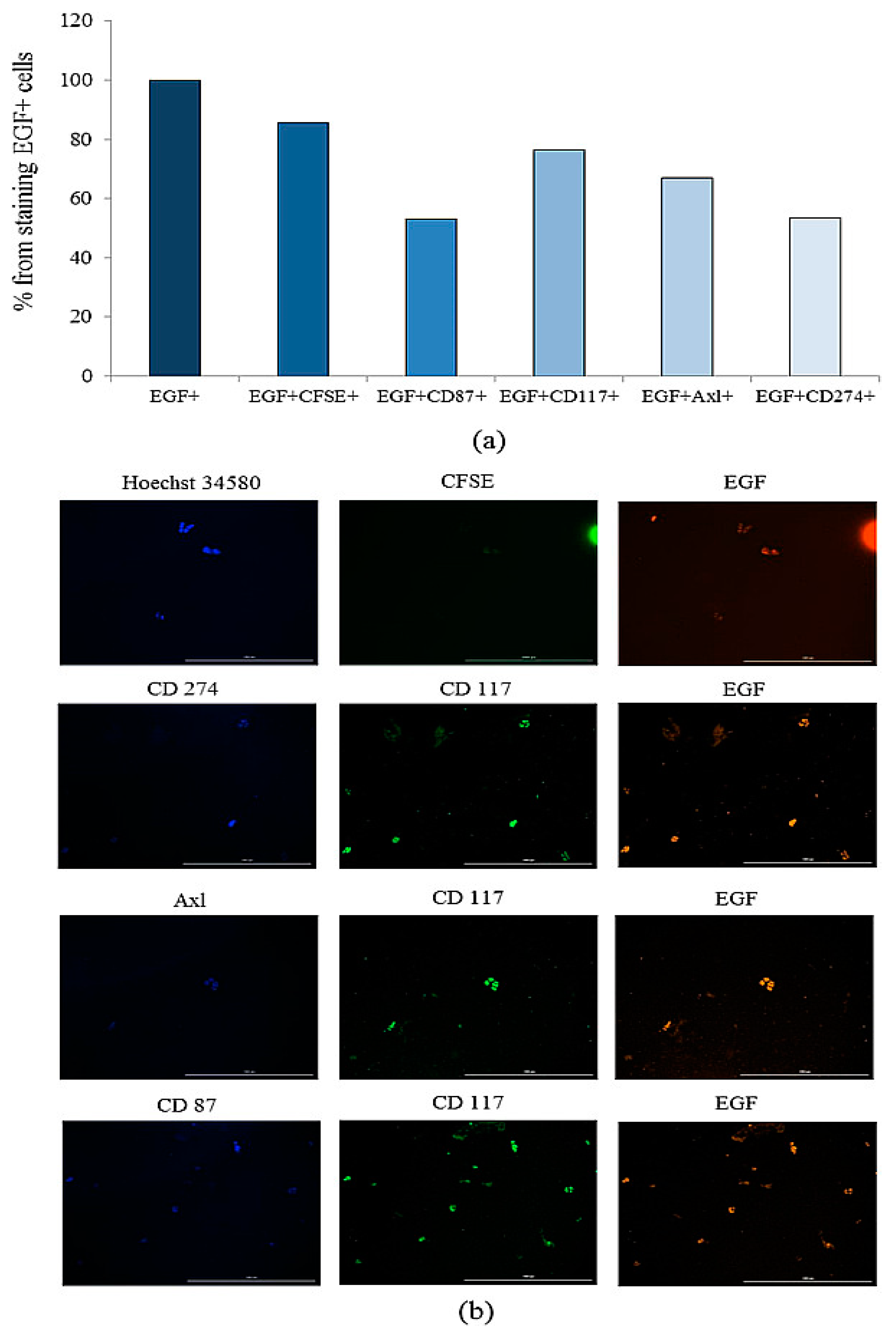 Ijms 23 10853 g015 Ijms 23 10853 g015