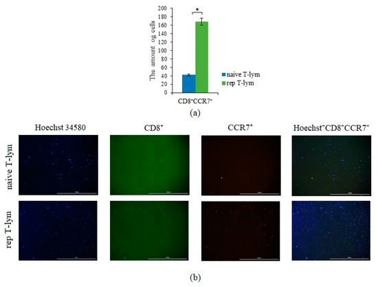 Analysis of Circulating Tumor and Cancer Stem Cells Provides New ...