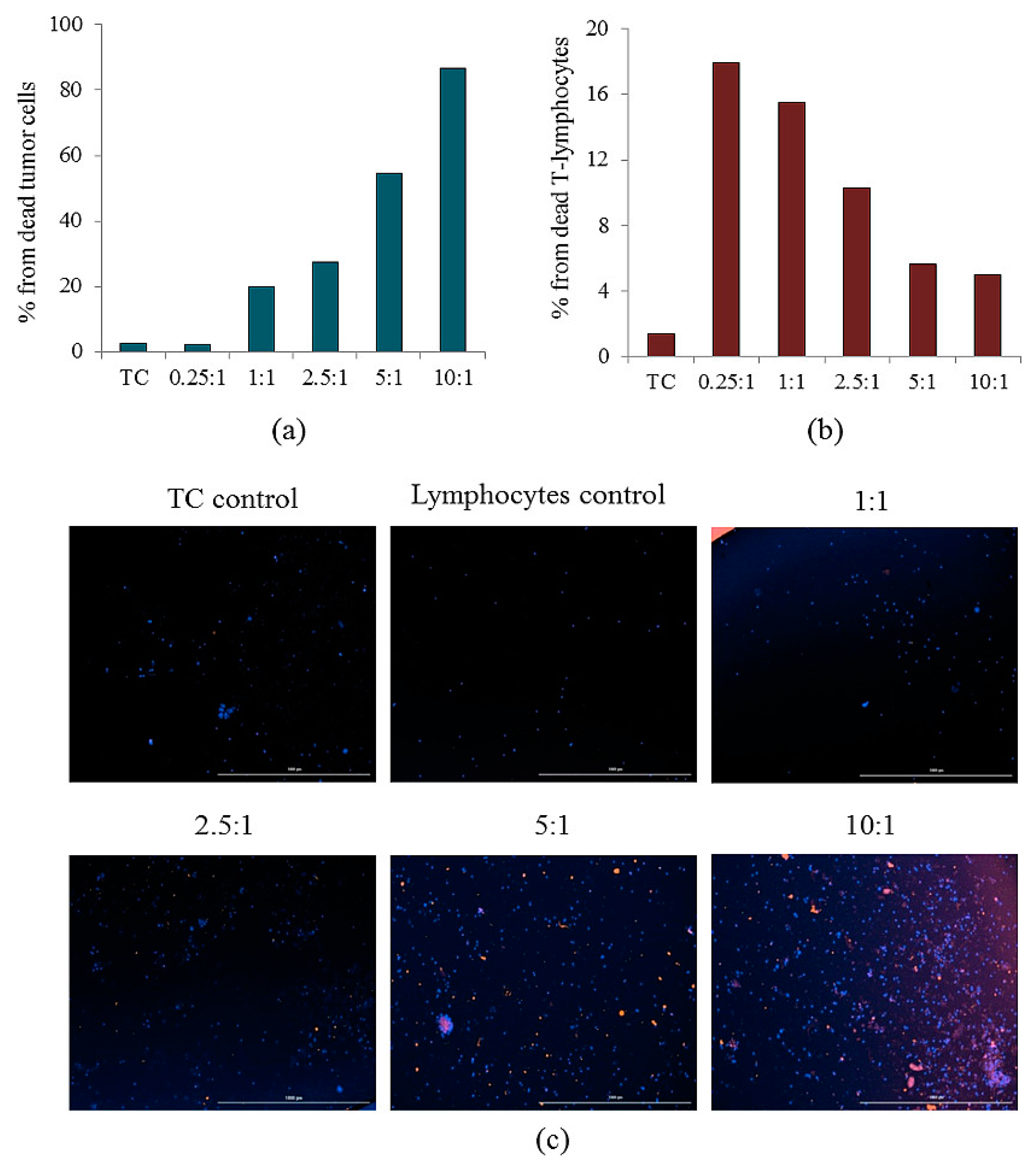 Ijms 23 10853 g017 Ijms 23 10853 g017
