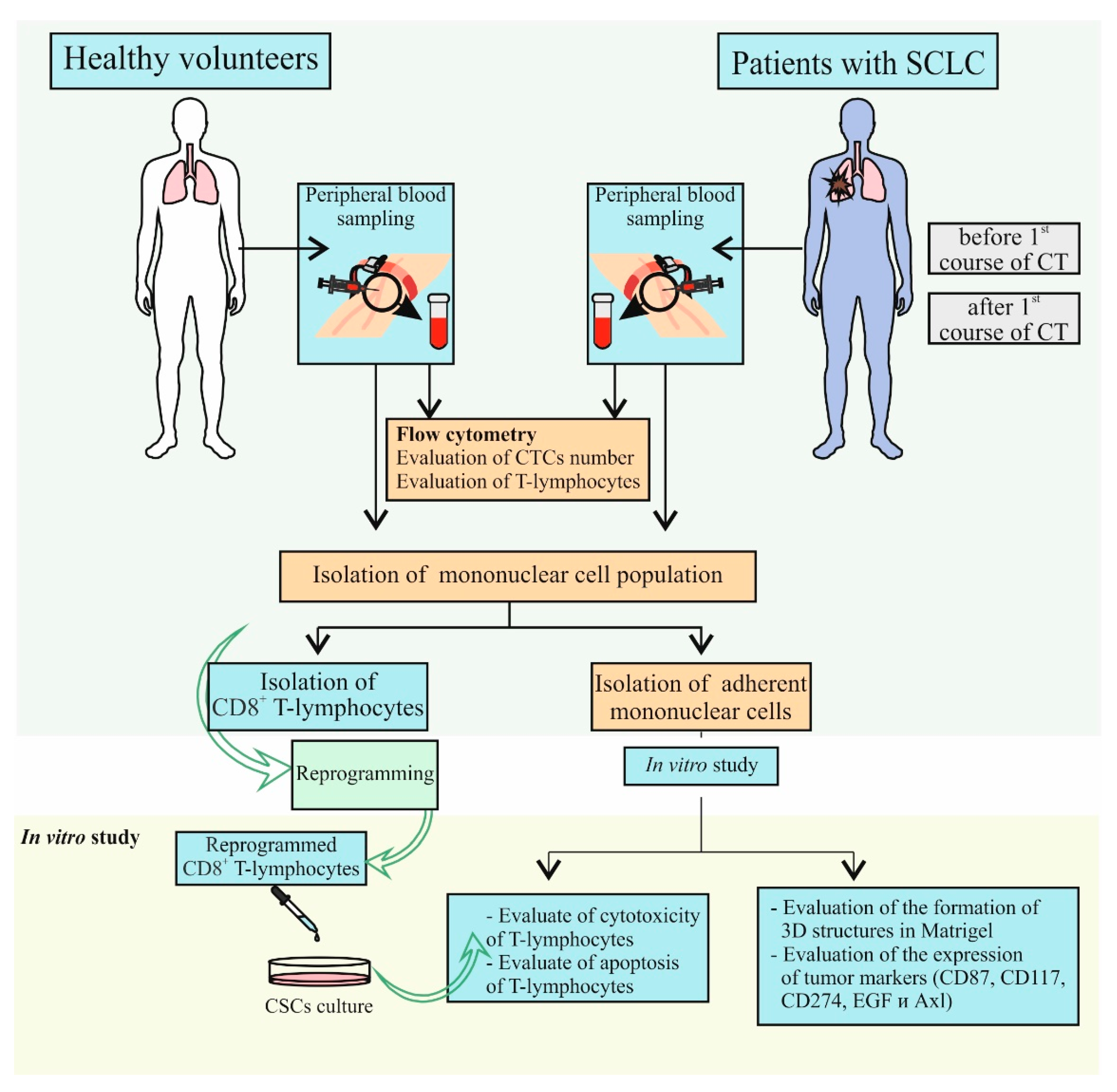 Ijms 23 10853 g018 Ijms 23 10853 g018