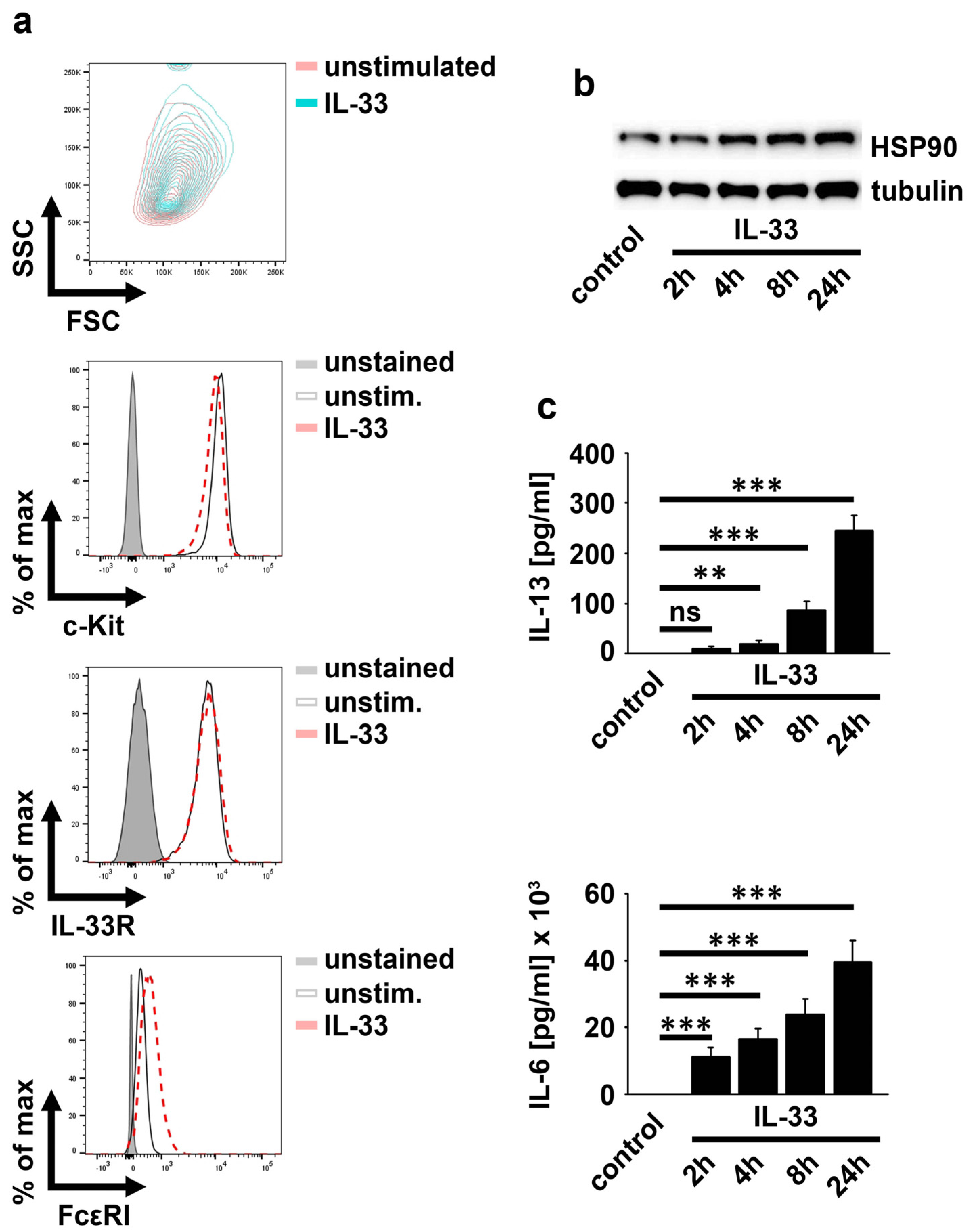 Ijms 23 10855 g001 Ijms 23 10855 g001