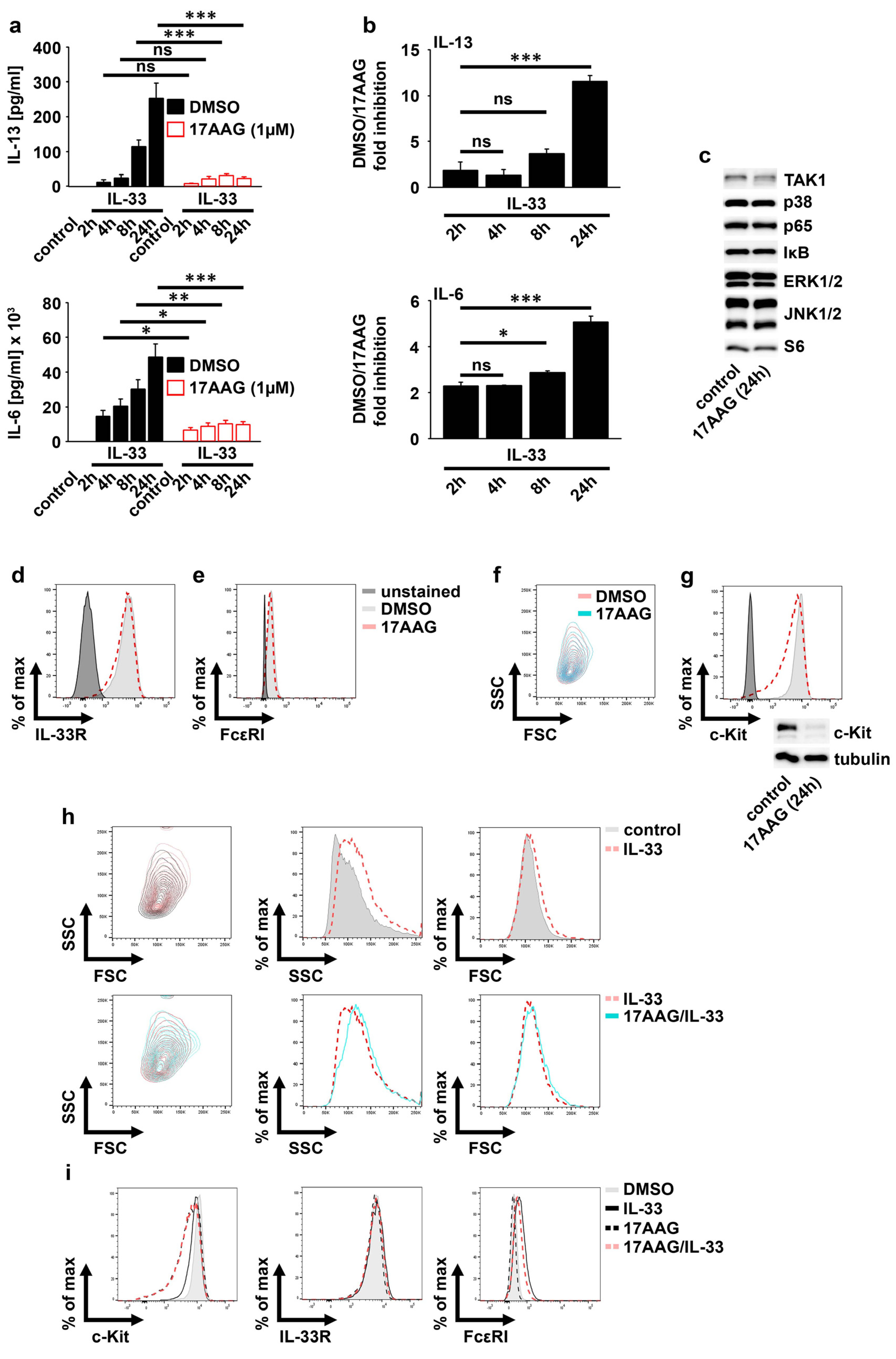 Ijms 23 10855 g002 Ijms 23 10855 g002
