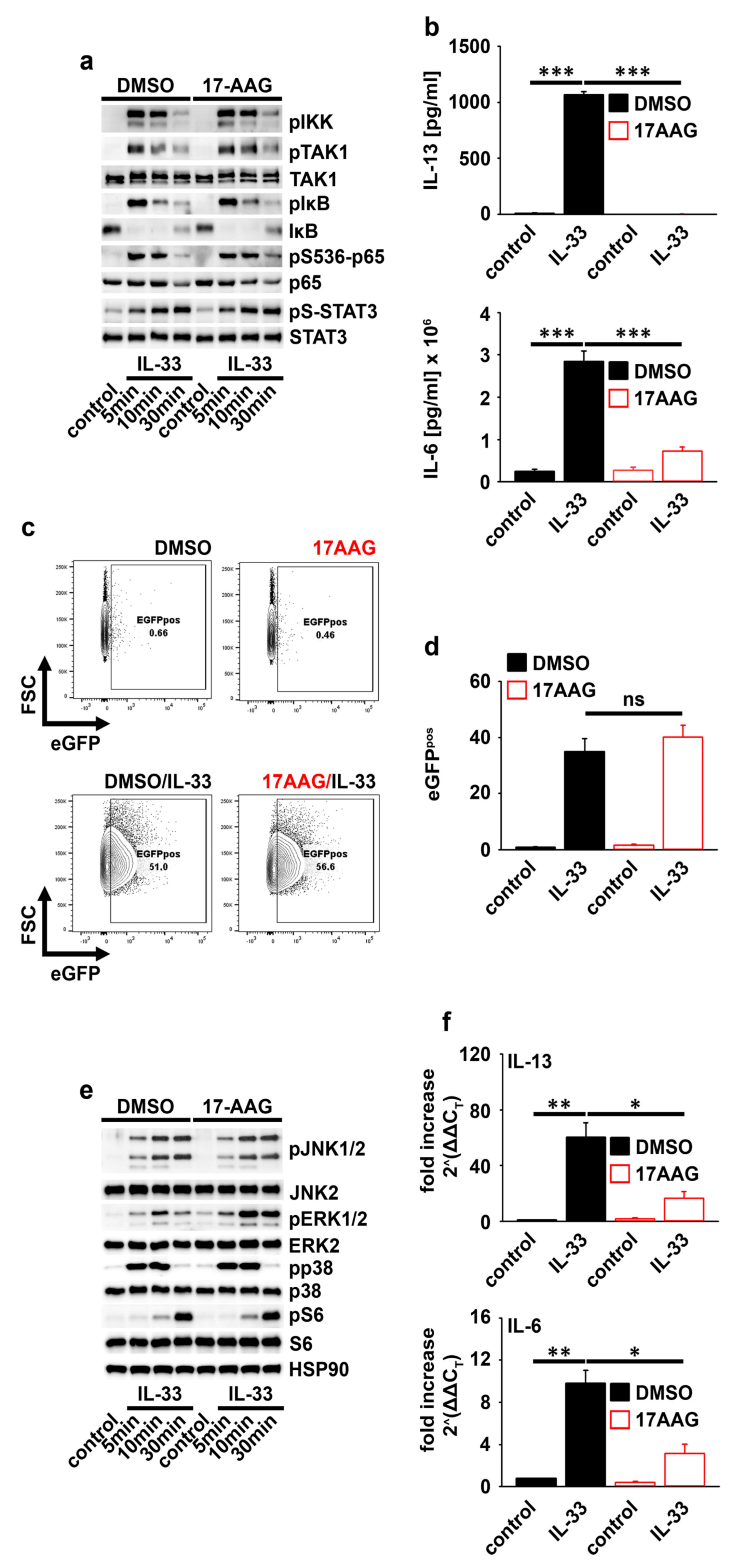 Ijms 23 10855 g003 Ijms 23 10855 g003