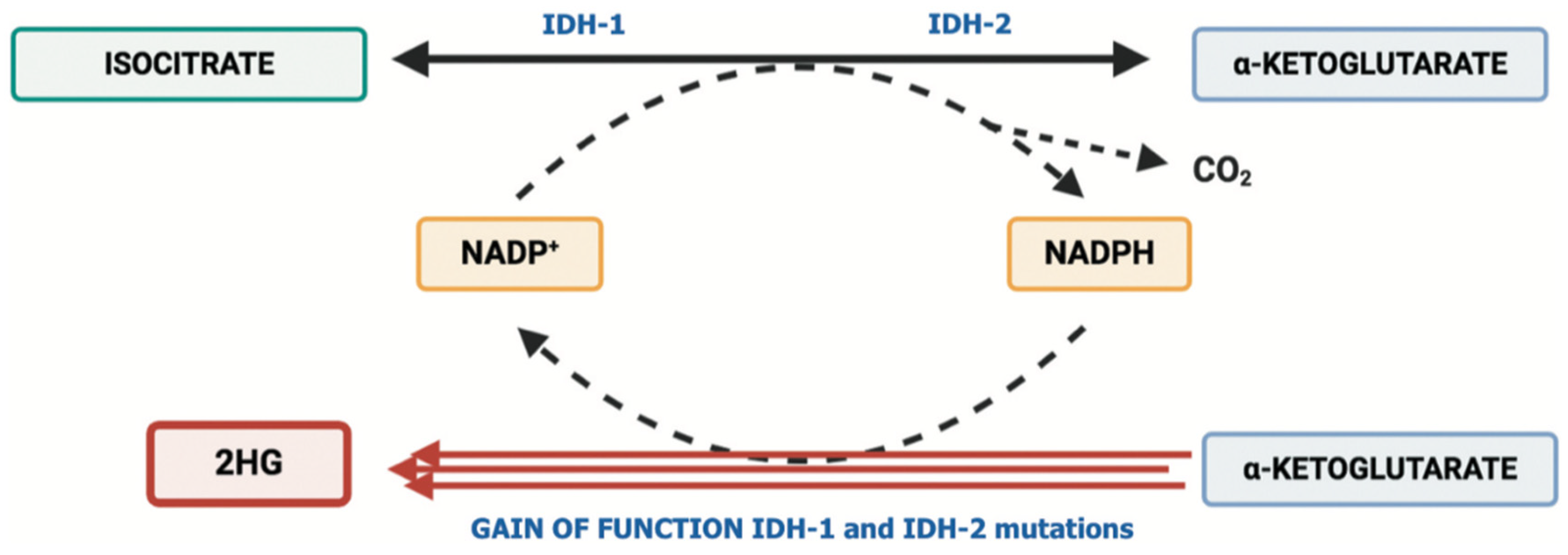 Ijms 23 10869 g001 550