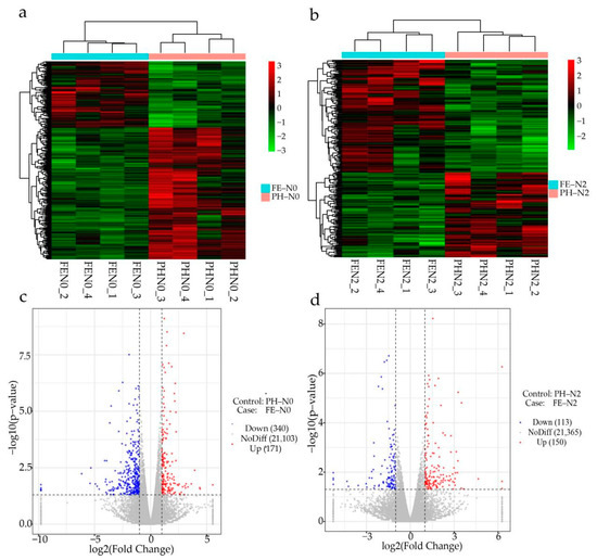 Integrated Physiological, Transcriptomic, and Metabolomic
