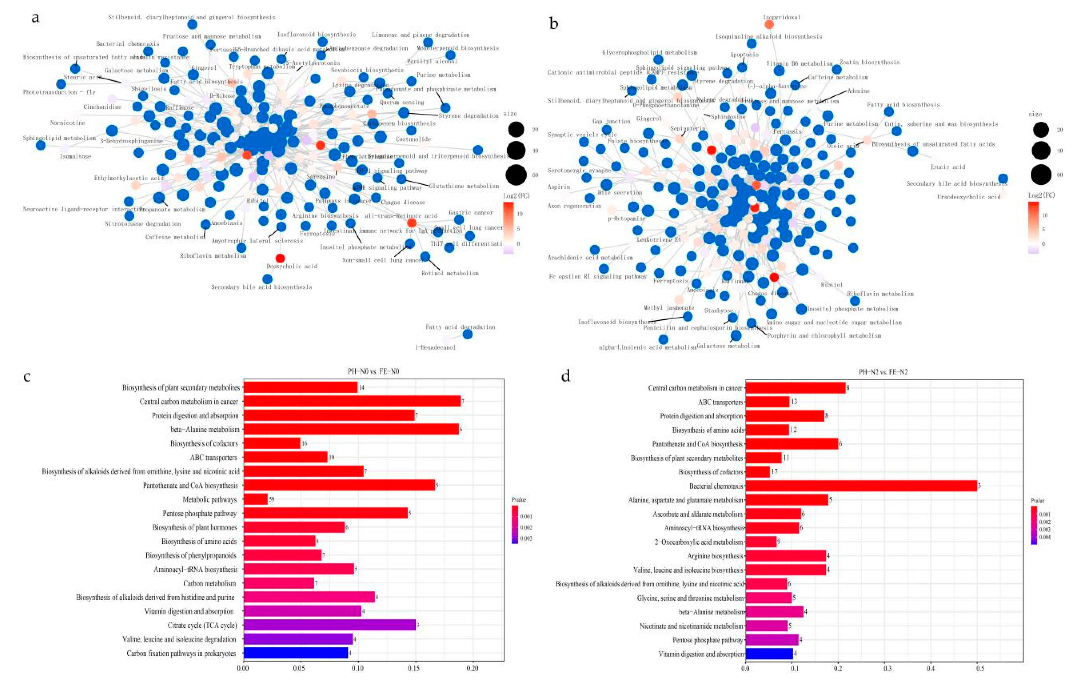 コウ 9月26日順次発売｜CONVERSE × SHINYAKOZUKA 
