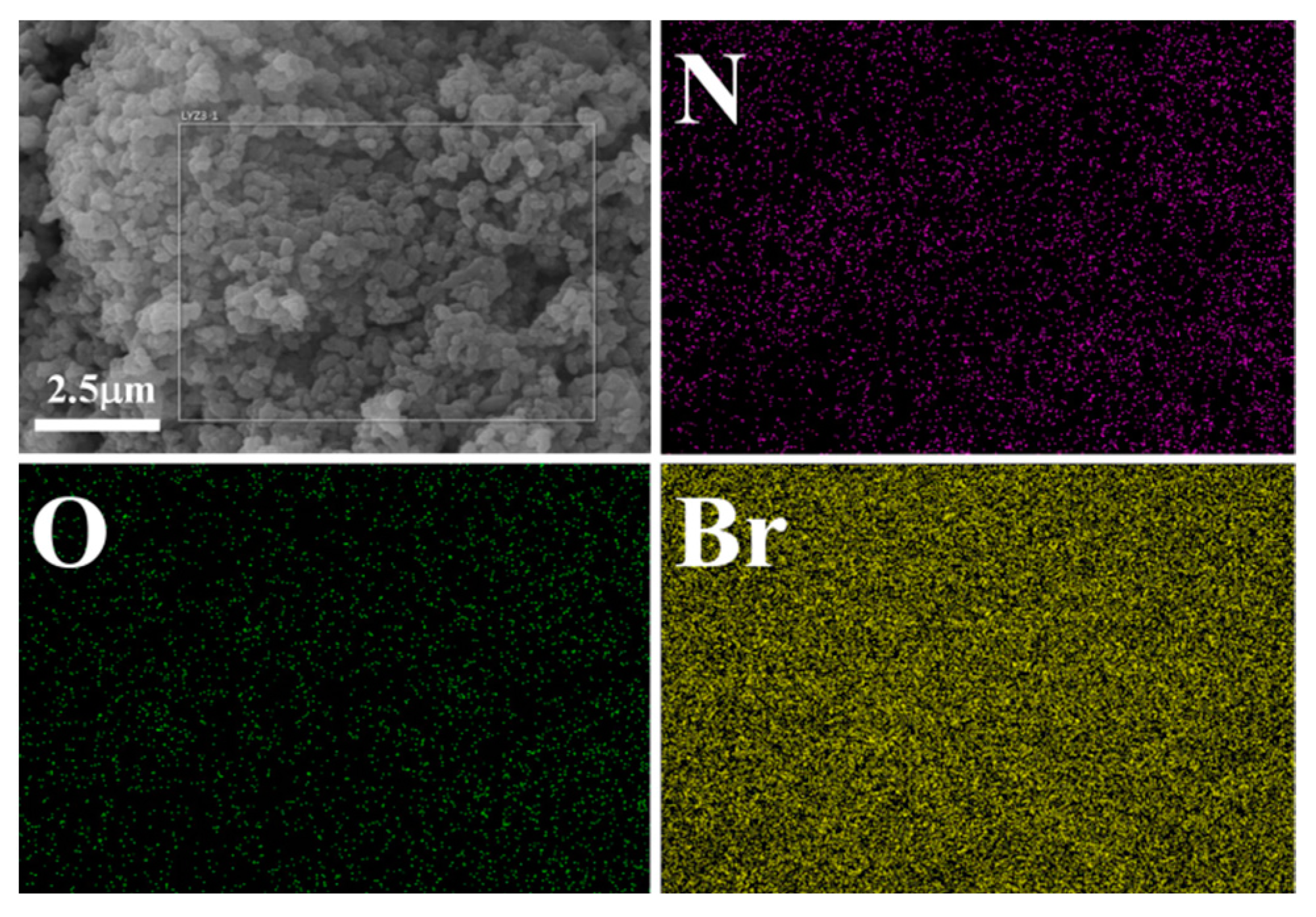 Ijms 23 10879 g004 550