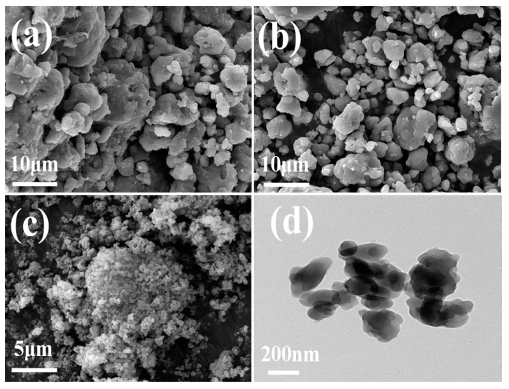 Ijms 23 10879 g005 550