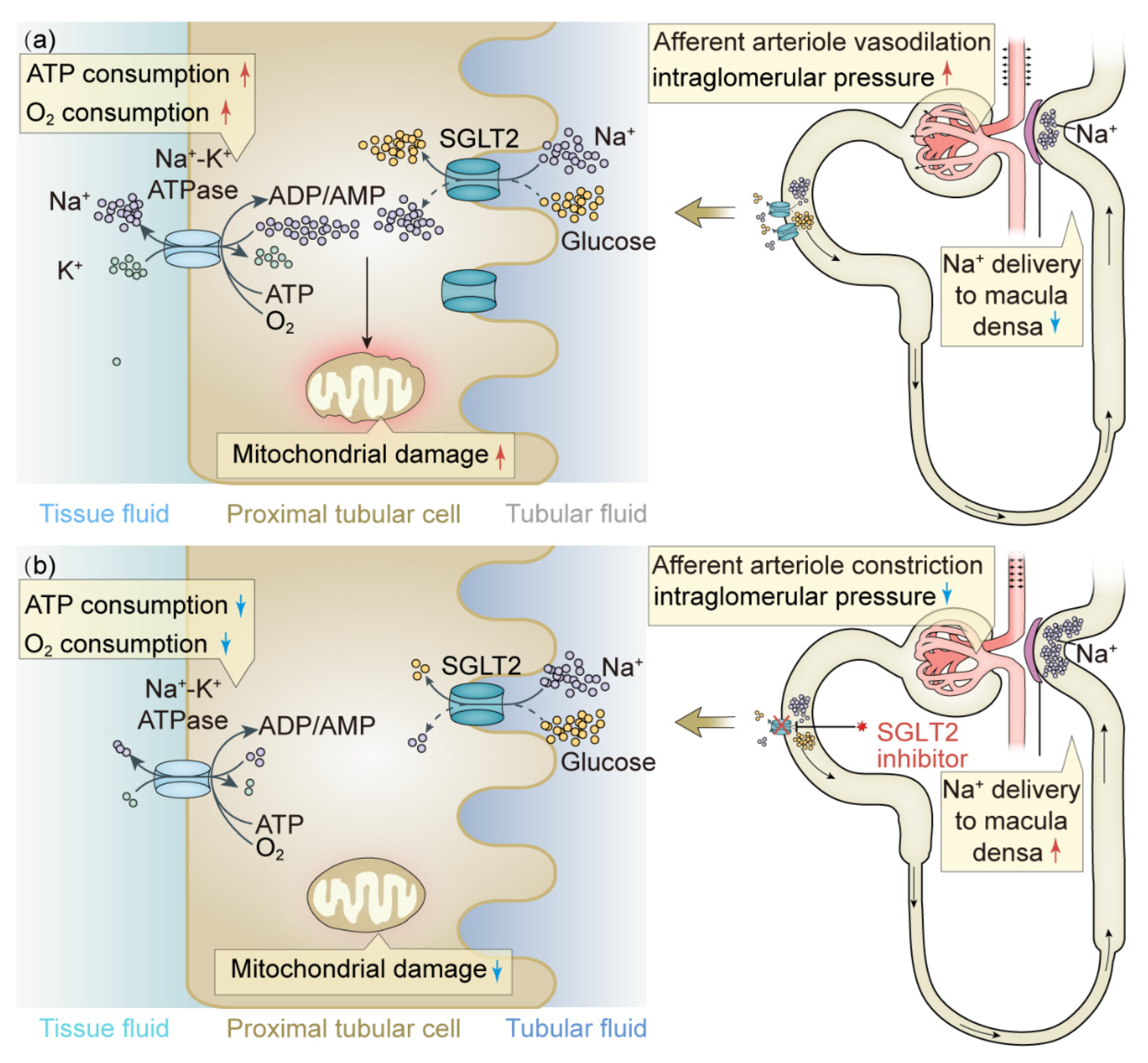 Ijms 23 10882 g001 Ijms 23 10882 g001