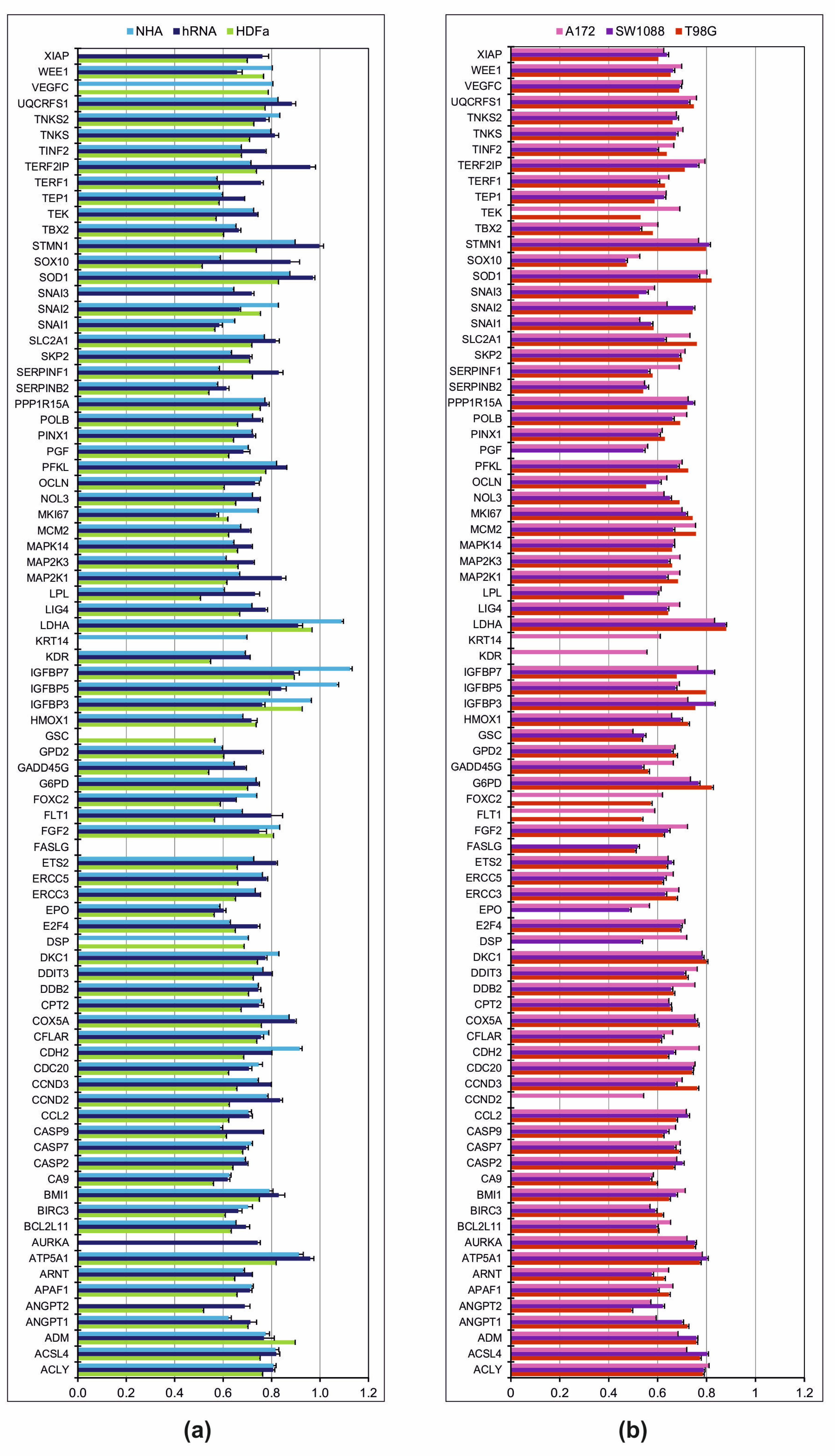 Ijms 23 10883 g001 Ijms 23 10883 g001