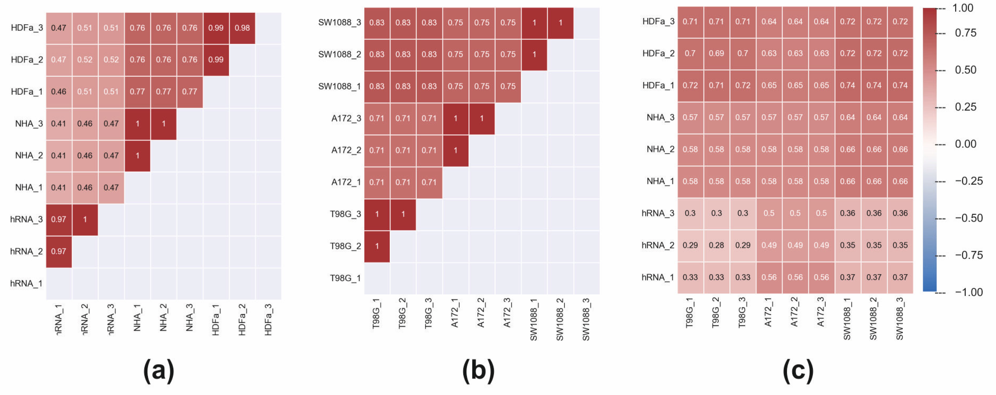 Ijms 23 10883 g005 Ijms 23 10883 g005