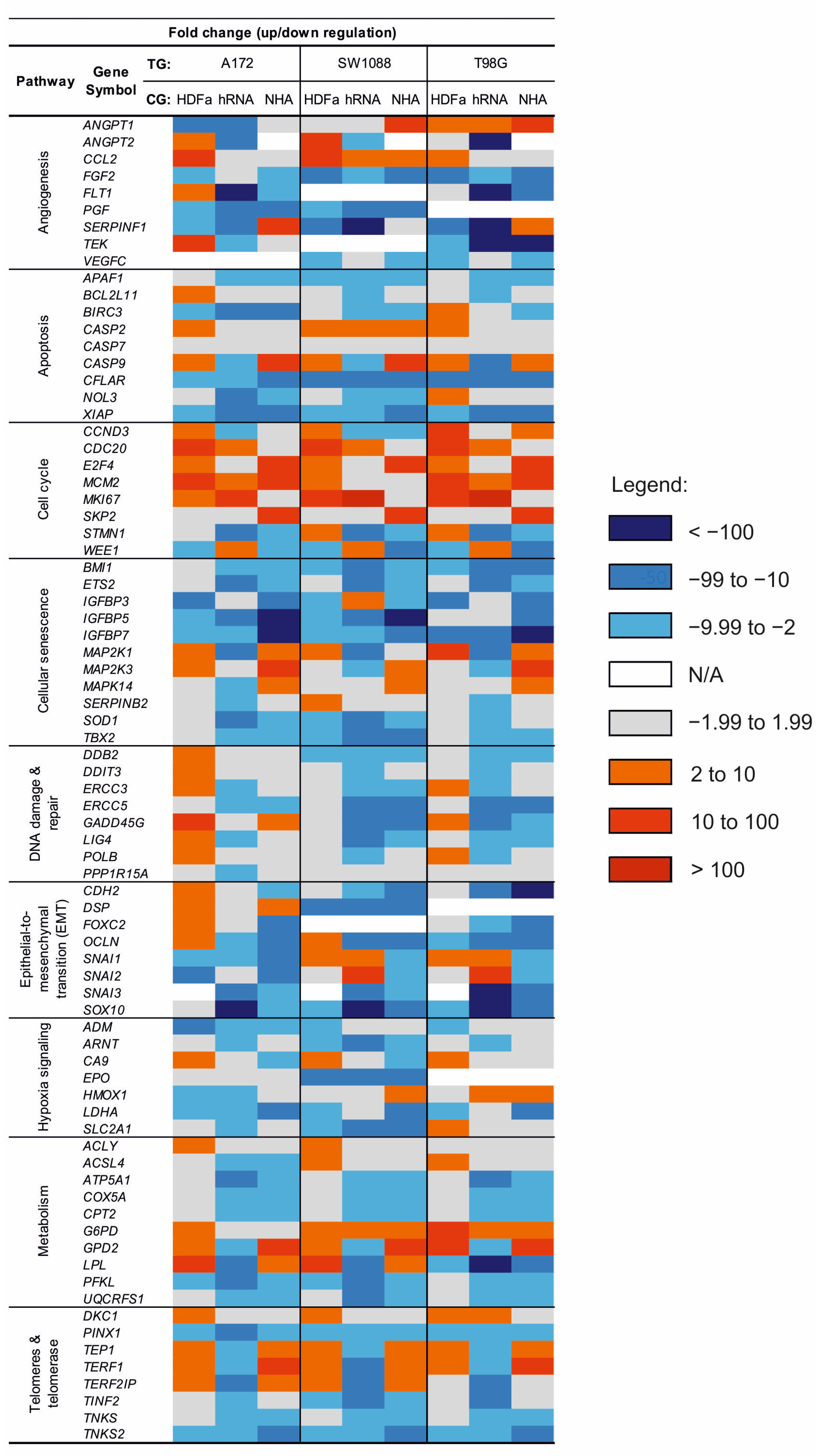 Ijms 23 10883 g006 Ijms 23 10883 g006