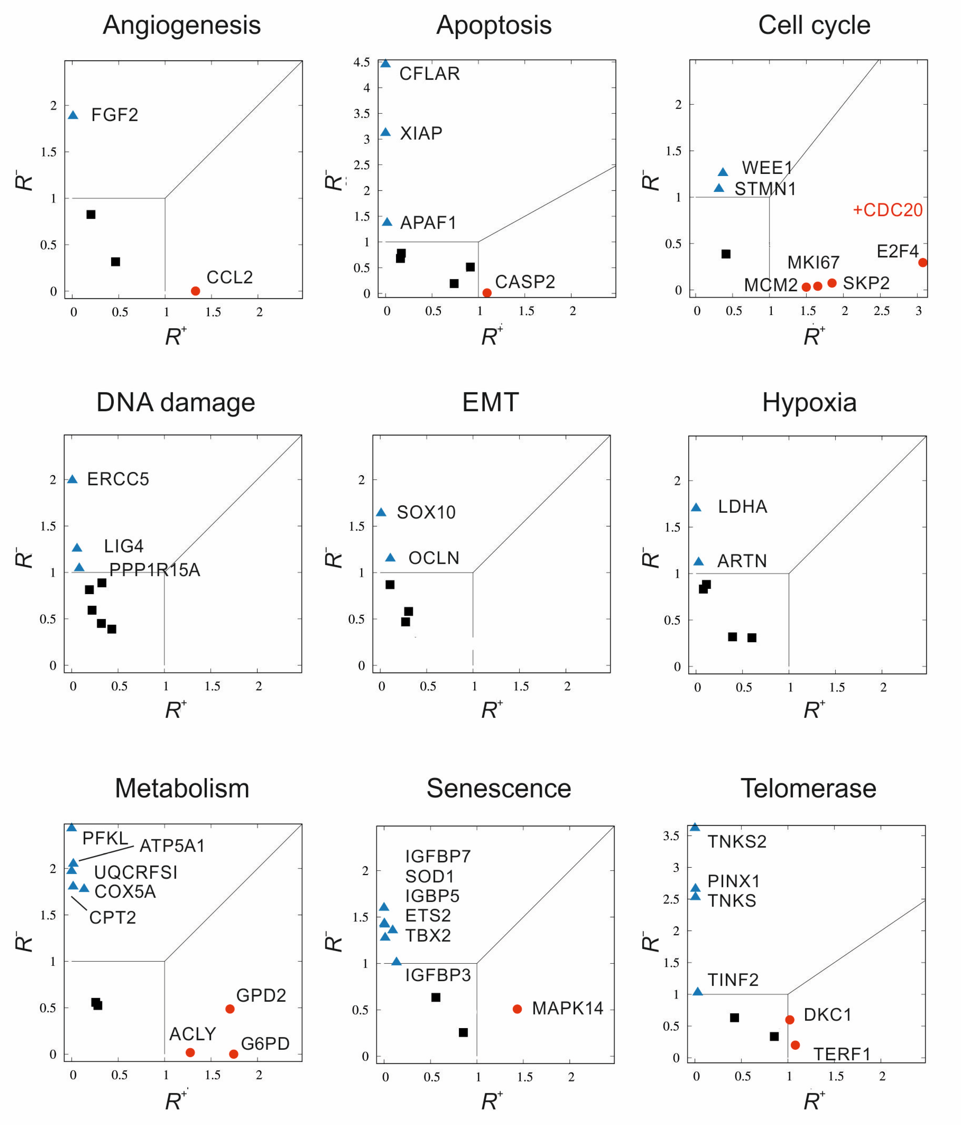 Ijms 23 10883 g007 Ijms 23 10883 g007
