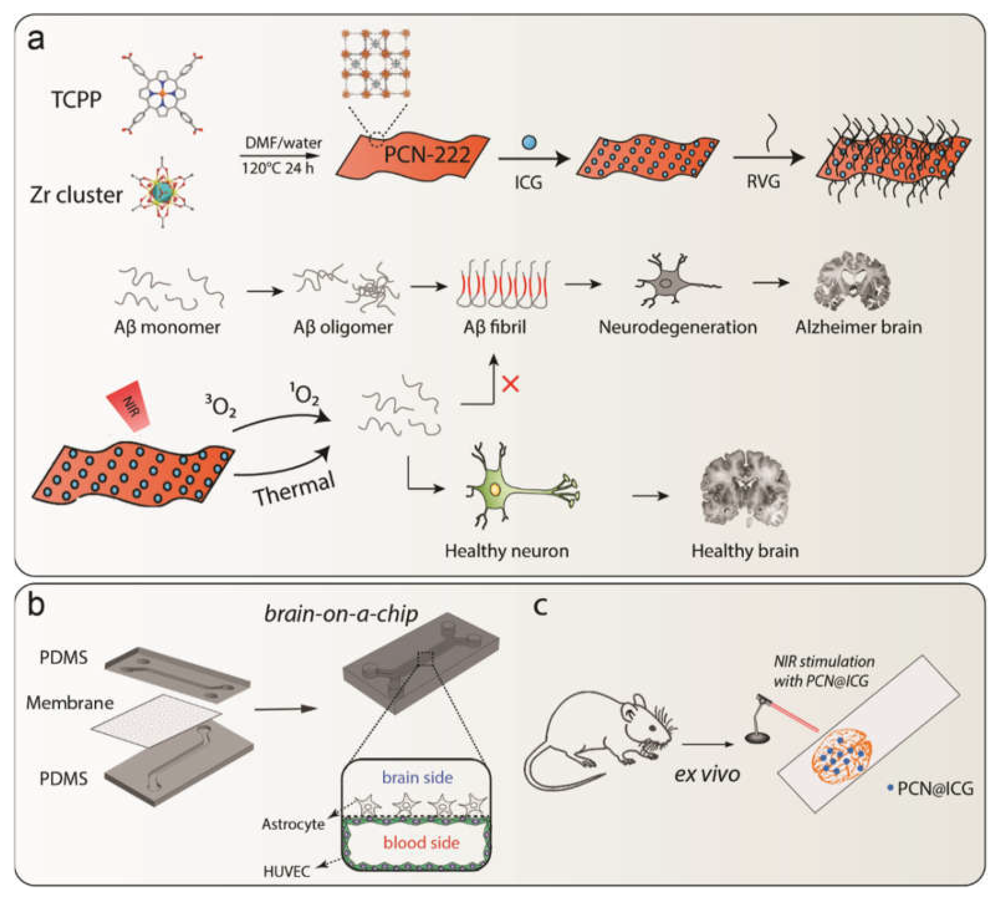 Ijms 23 10885 sch001