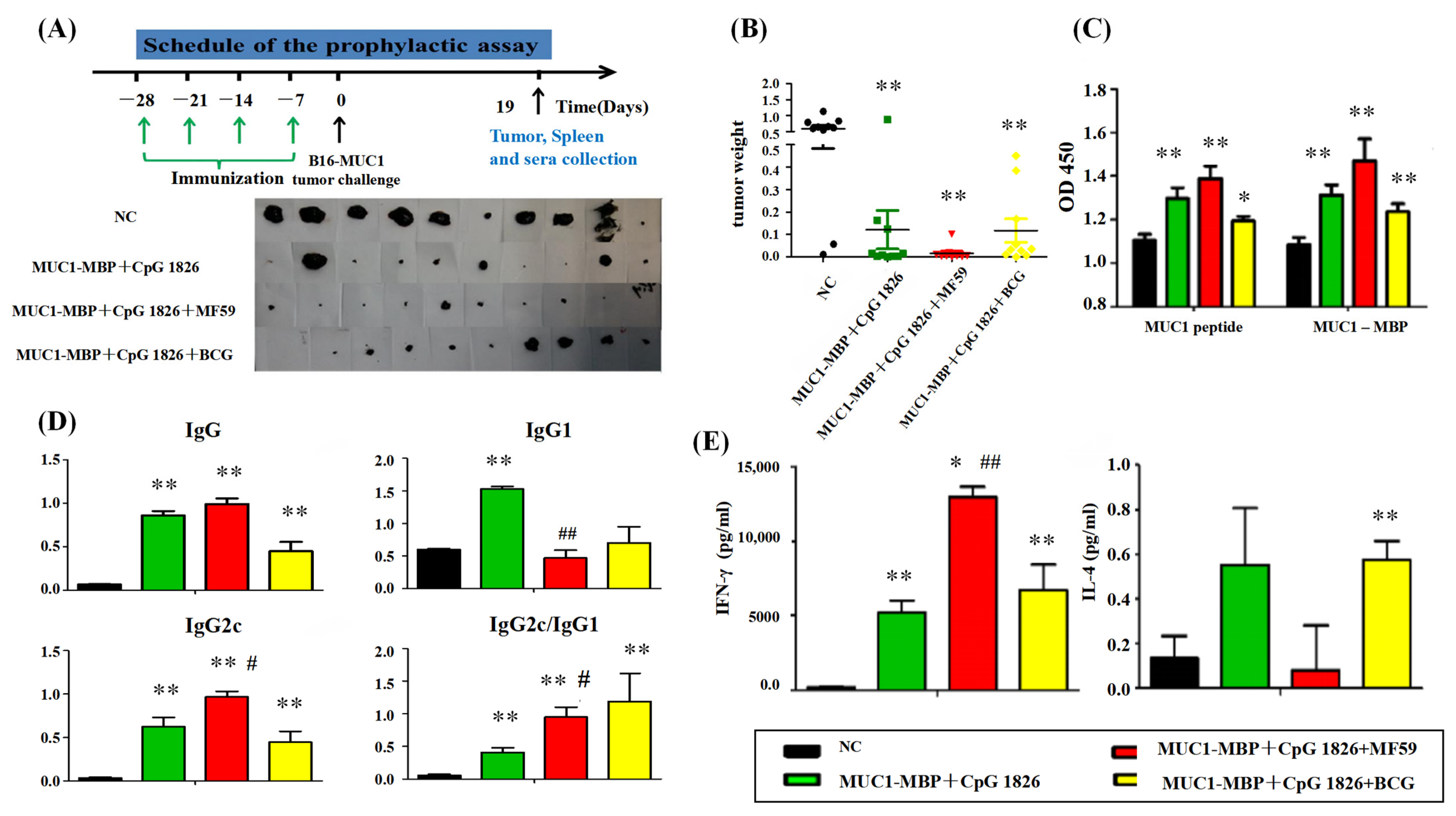 Ijms 23 10887 g002 550