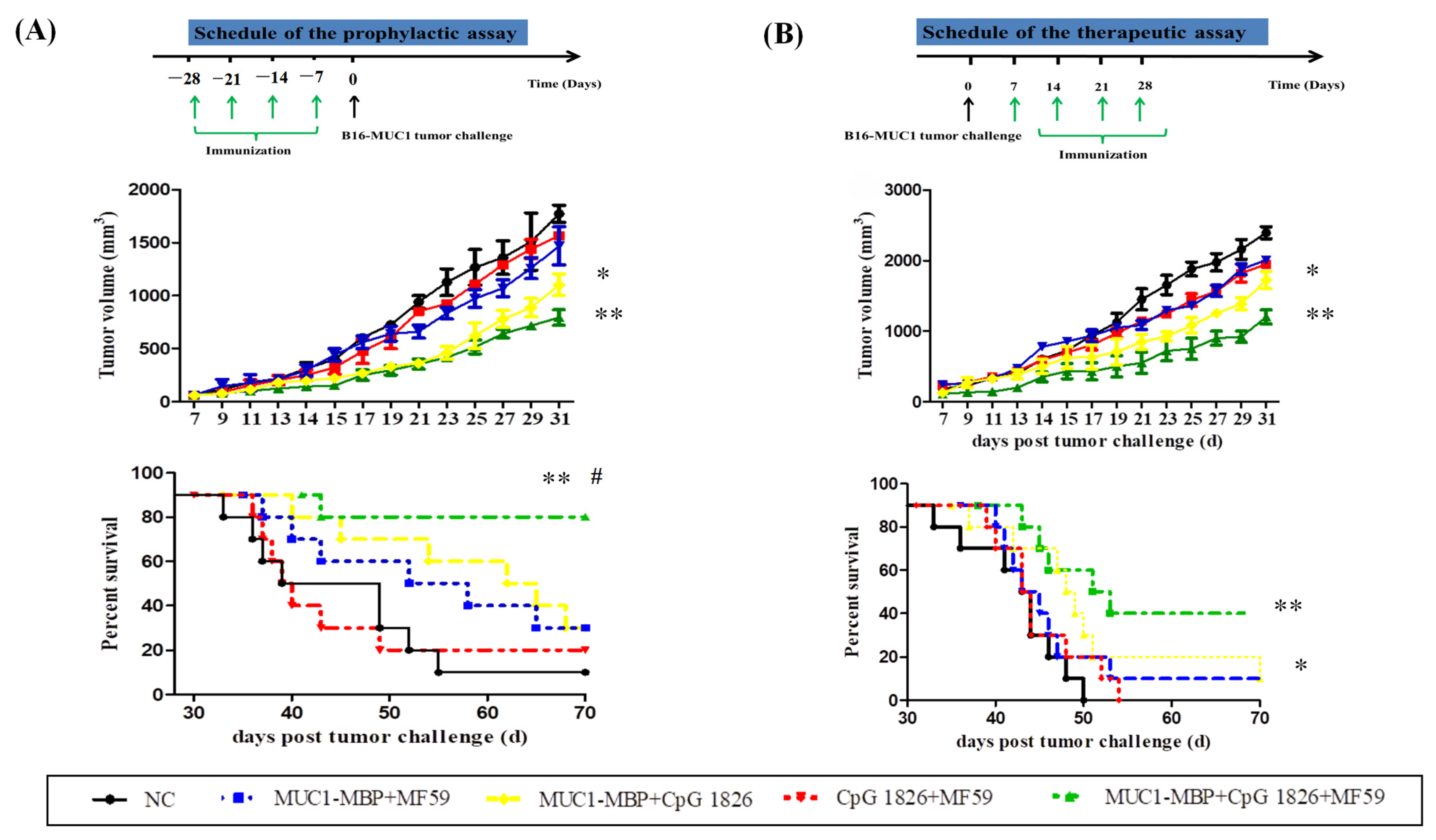 Ijms 23 10887 g003 550