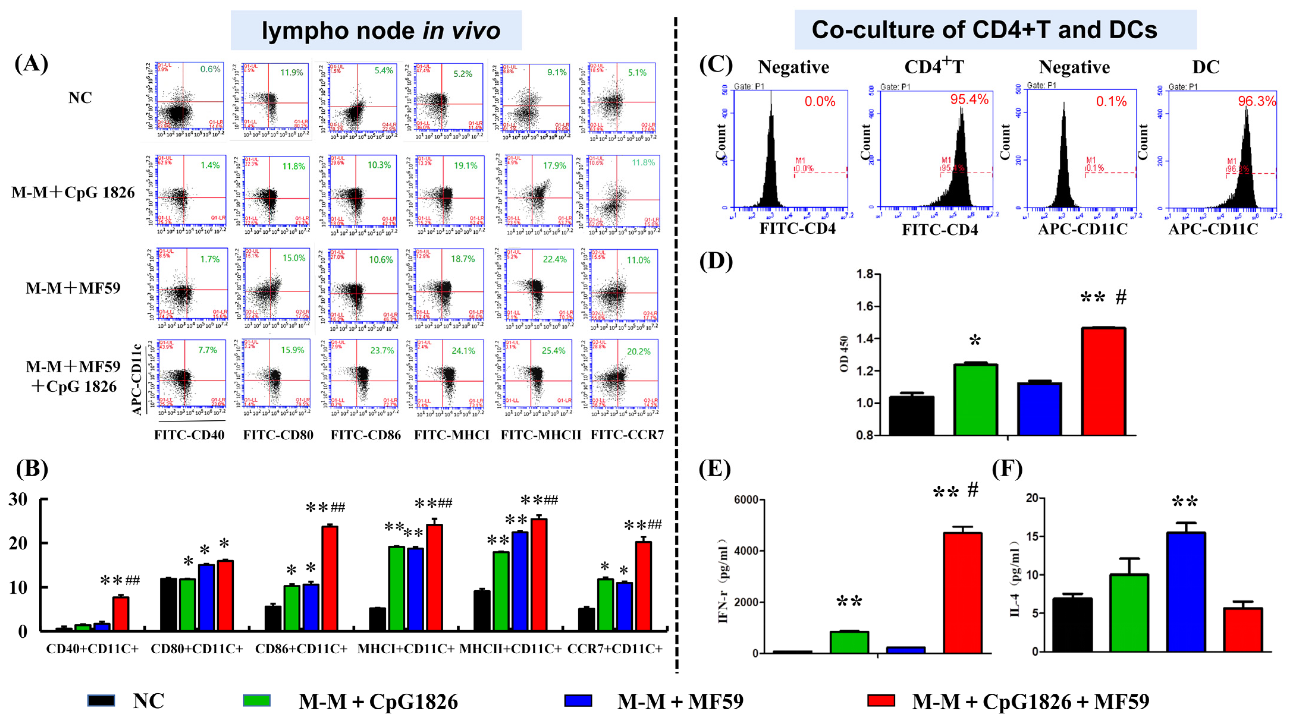 Ijms 23 10887 g004 550