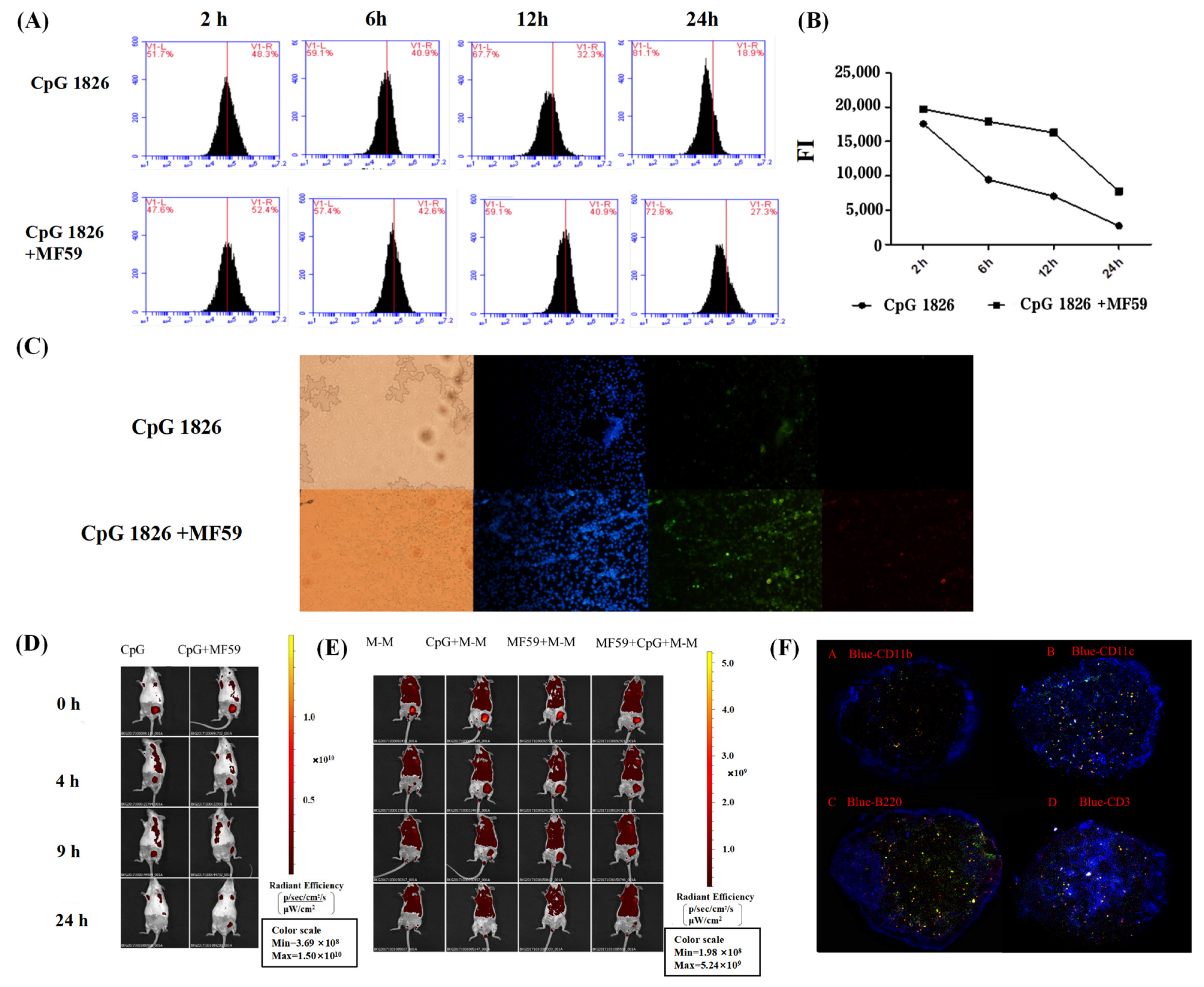 Ijms 23 10887 g005 550