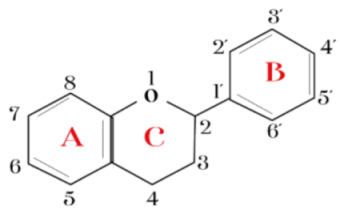 Ijms 23 10896 i001 Ijms 23 10896 i001