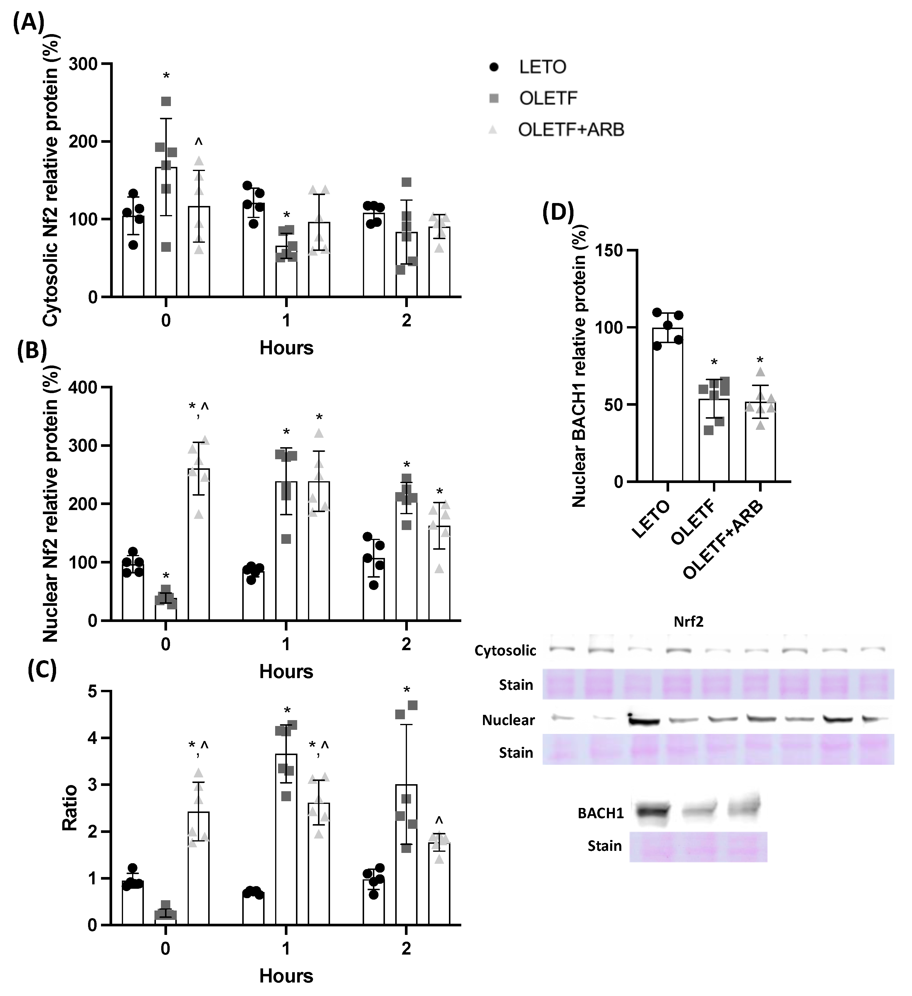 Ijms 23 10897 g001 Ijms 23 10897 g001