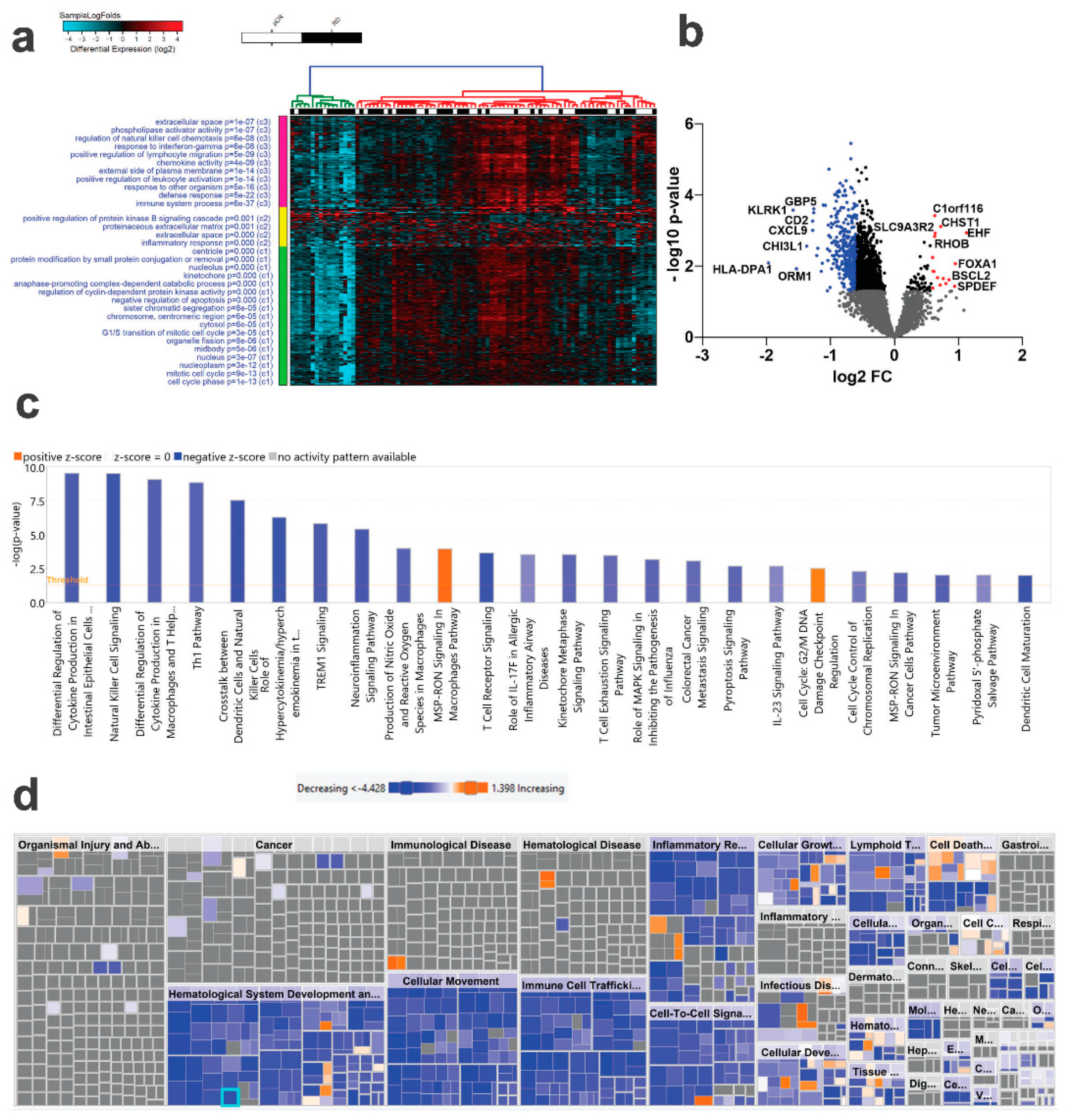Ijms 23 10901 g001 Ijms 23 10901 g001