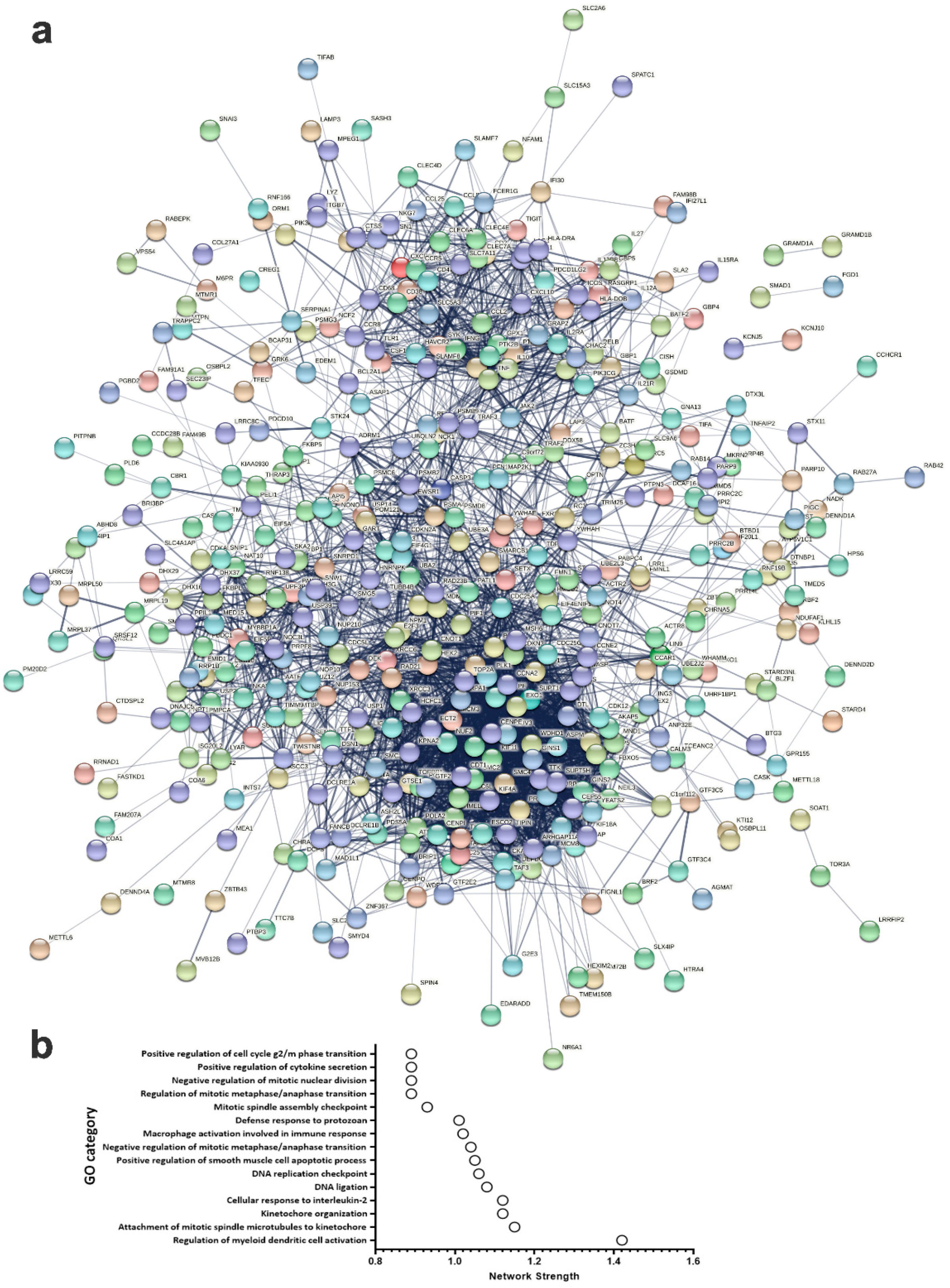 Ijms 23 10901 g006 Ijms 23 10901 g006