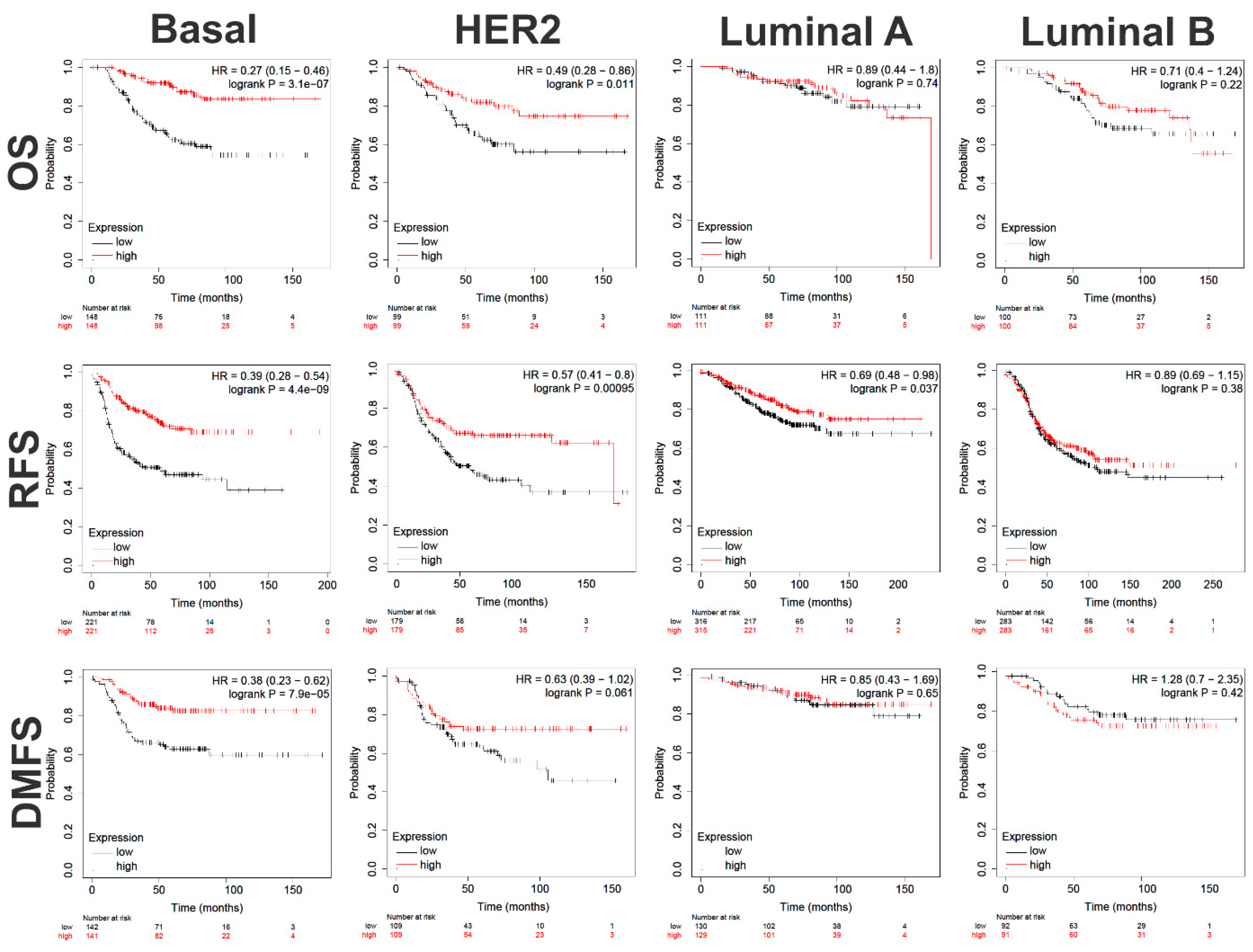 Ijms 23 10901 g008 Ijms 23 10901 g008