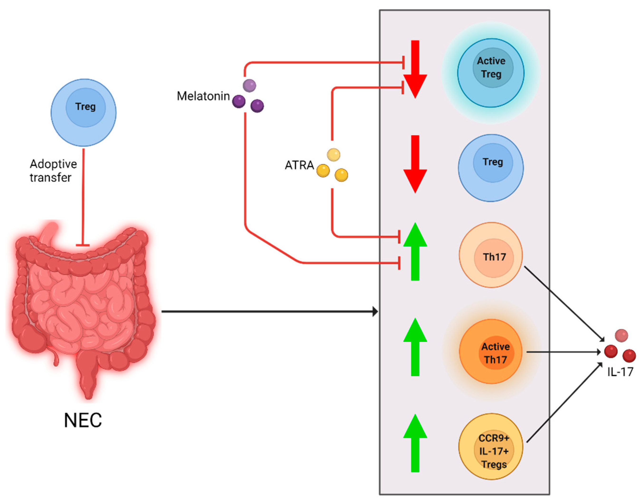 Ijms 23 10903 g002 Ijms 23 10903 g002