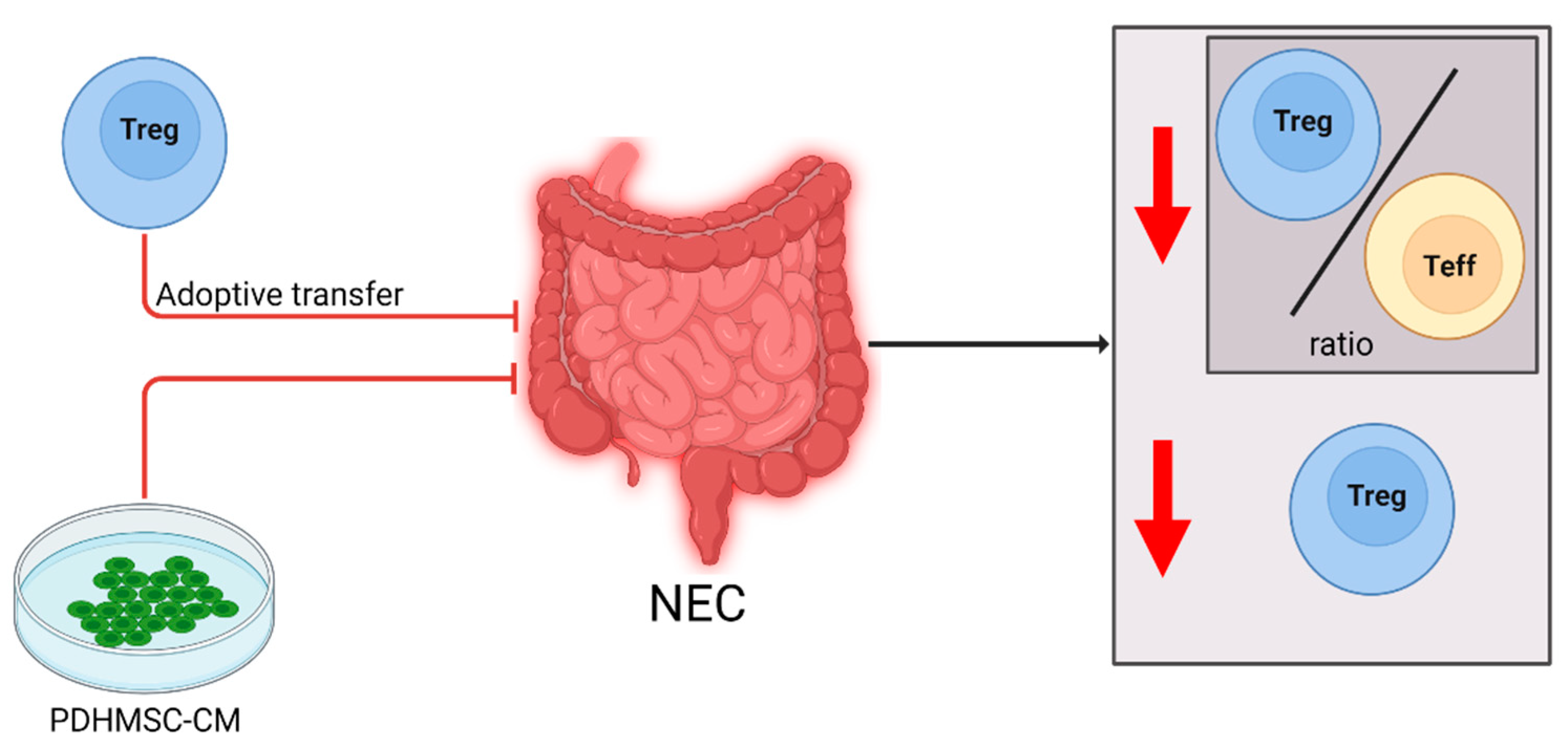 Ijms 23 10903 g003 Ijms 23 10903 g003