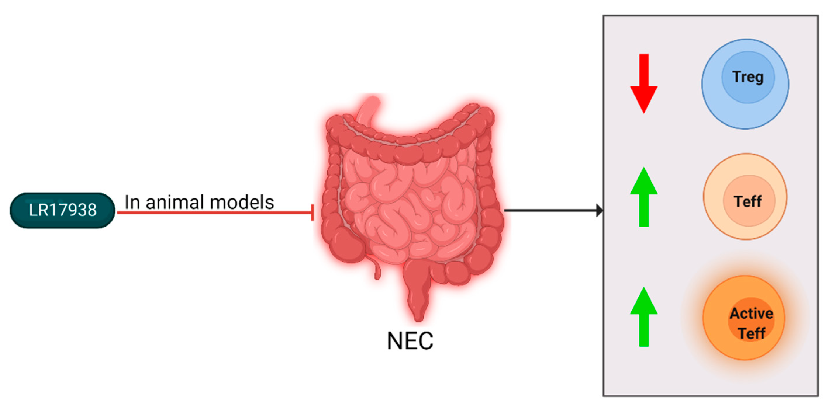 Ijms 23 10903 g005 Ijms 23 10903 g005