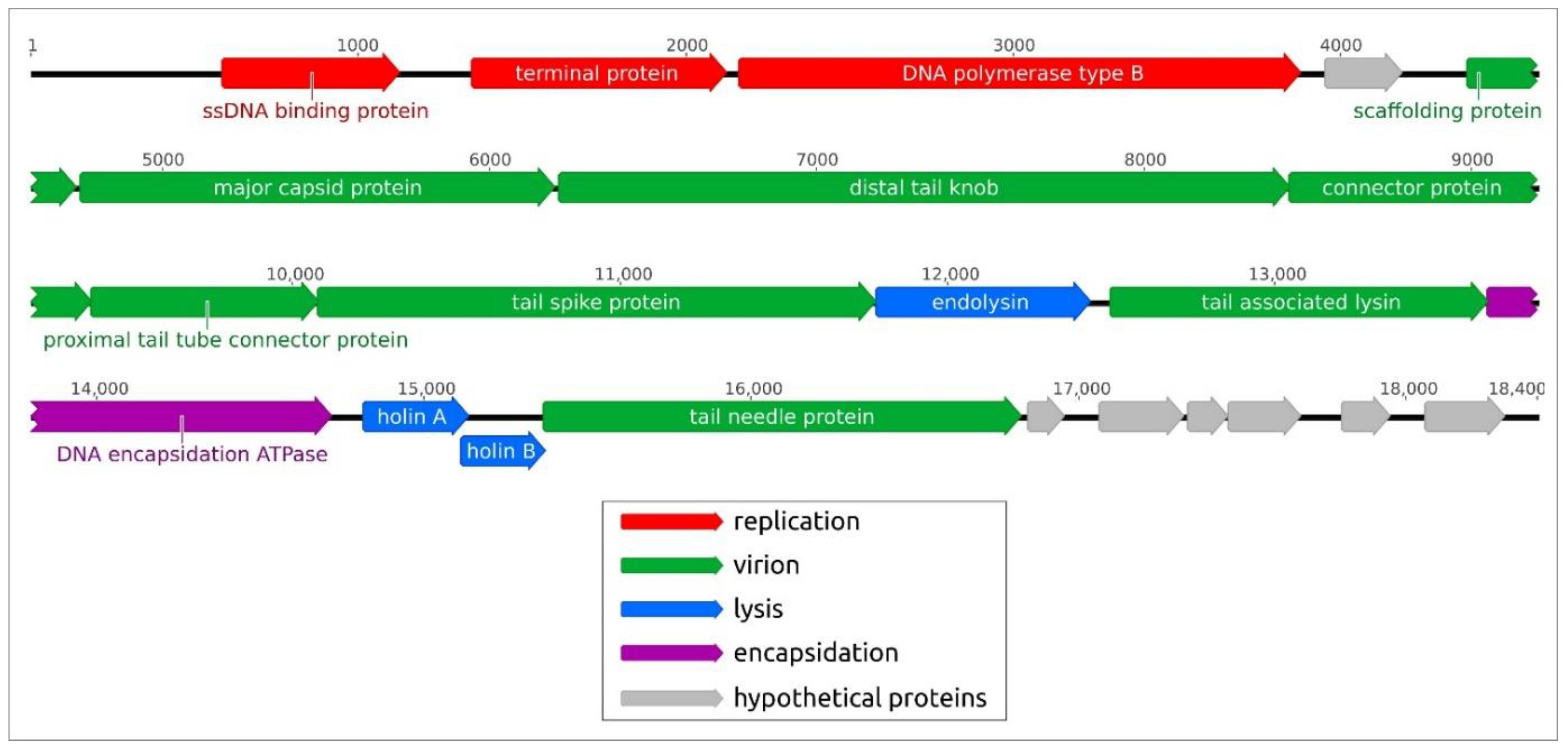 Ijms 23 10913 g002 Ijms 23 10913 g002