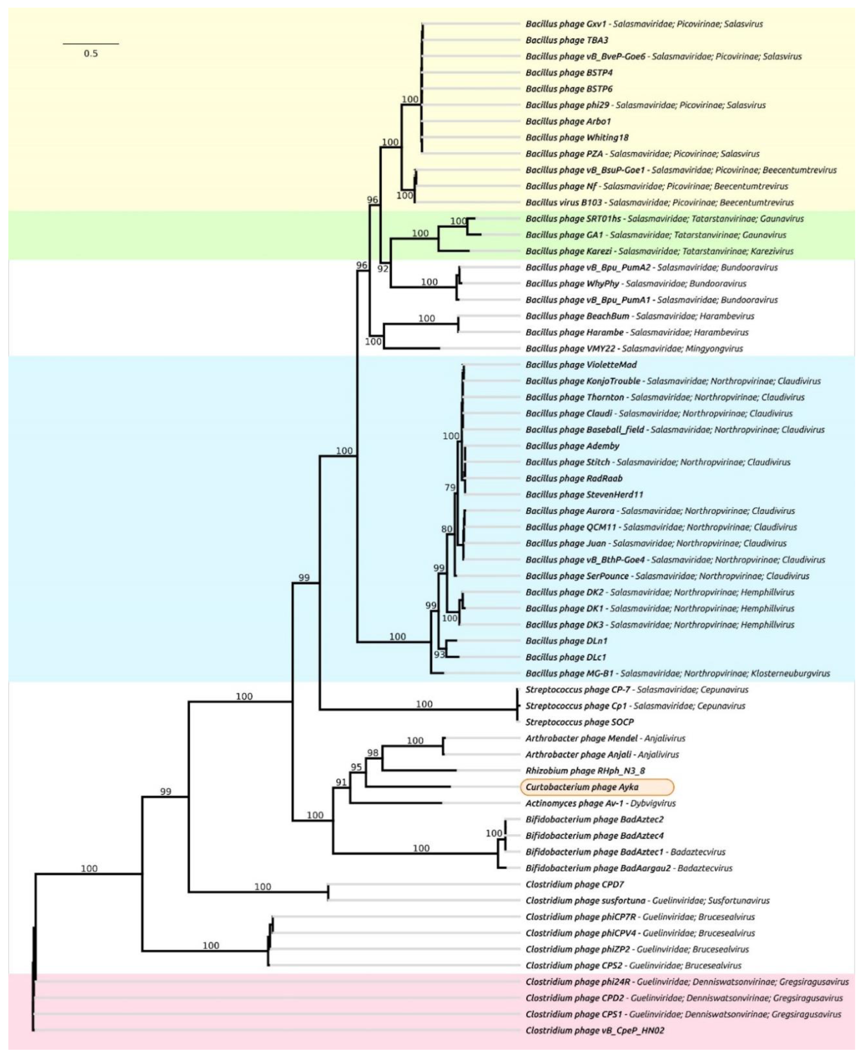 Ijms 23 10913 g004 Ijms 23 10913 g004
