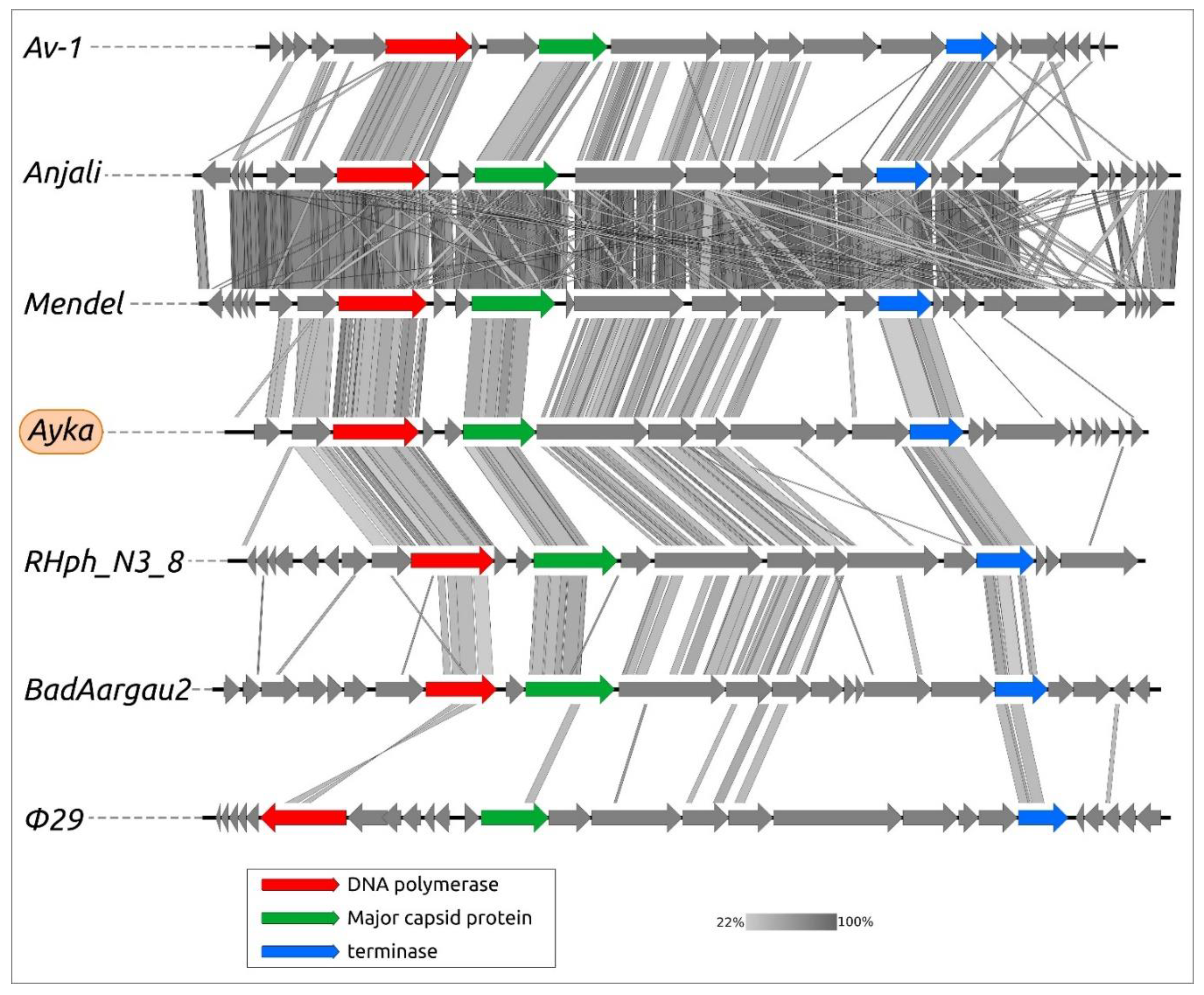 Ijms 23 10913 g005 Ijms 23 10913 g005