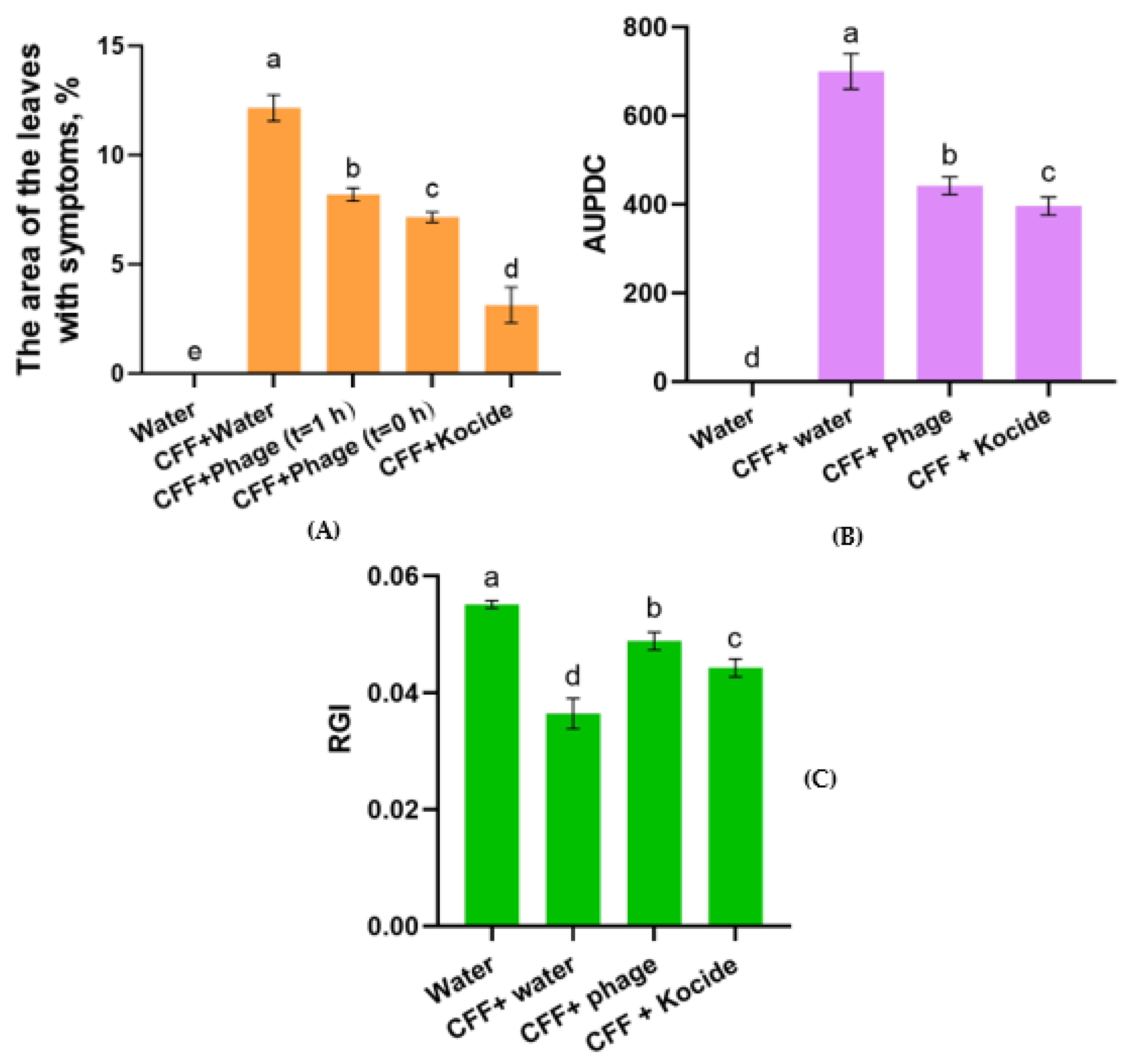 Ijms 23 10913 g007 Ijms 23 10913 g007