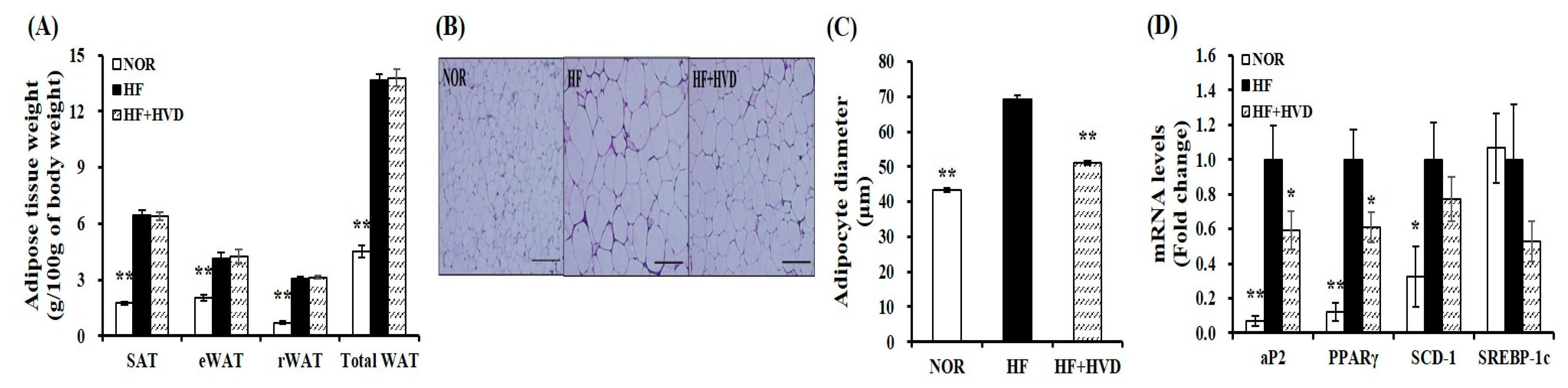 Ijms 23 10915 g003 Ijms 23 10915 g003