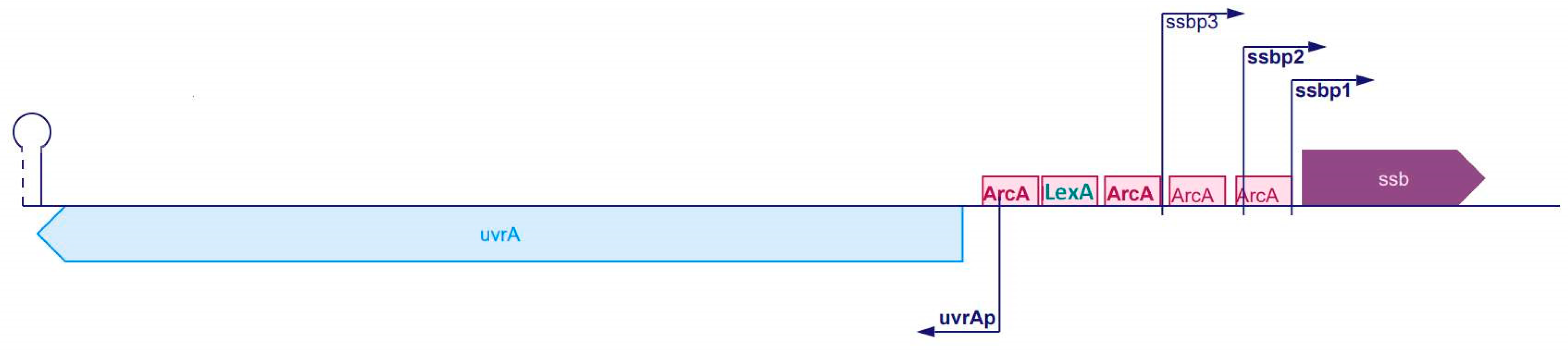 Ijms 23 10917 g001 Ijms 23 10917 g001