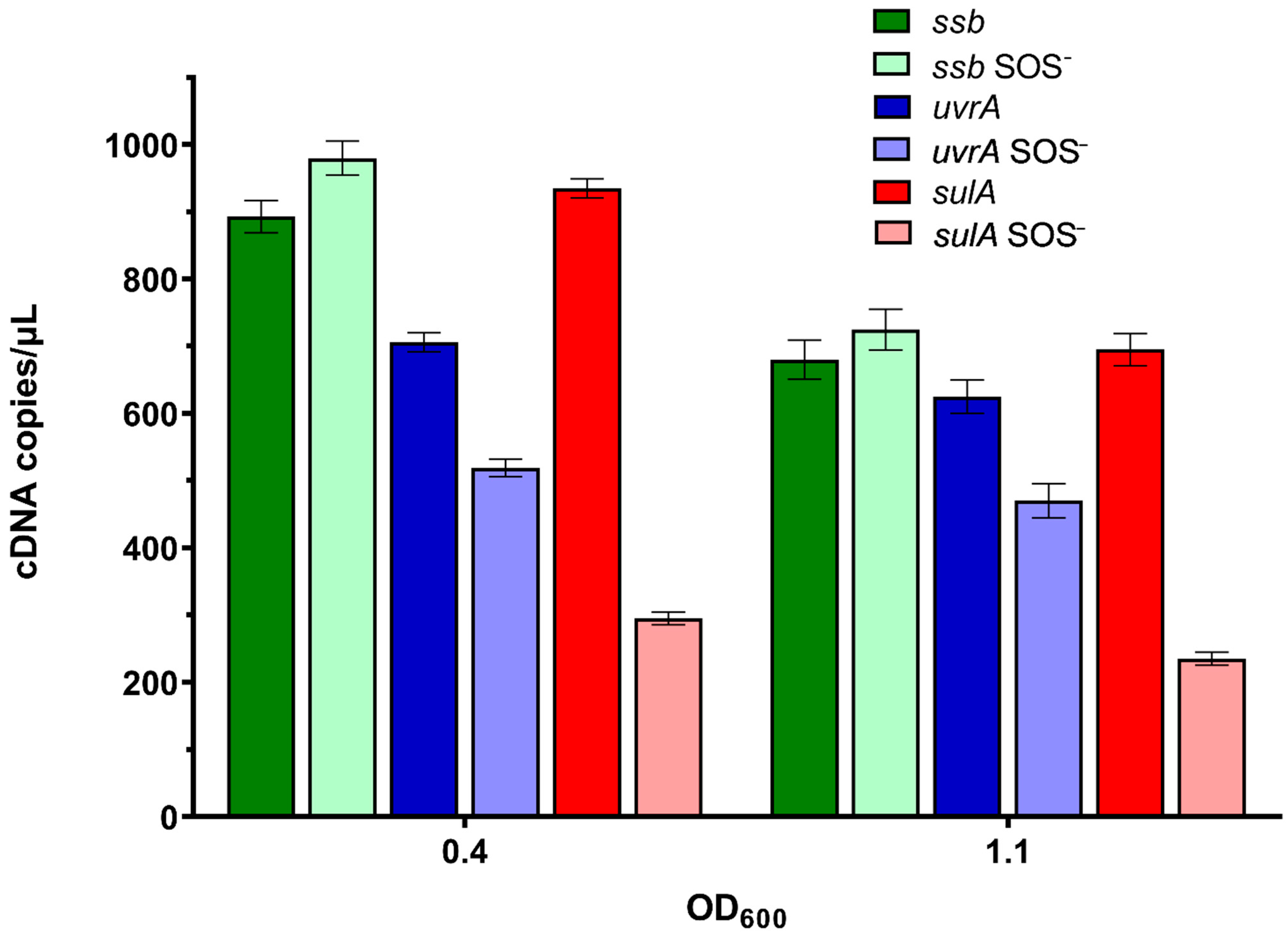 Ijms 23 10917 g005 Ijms 23 10917 g005