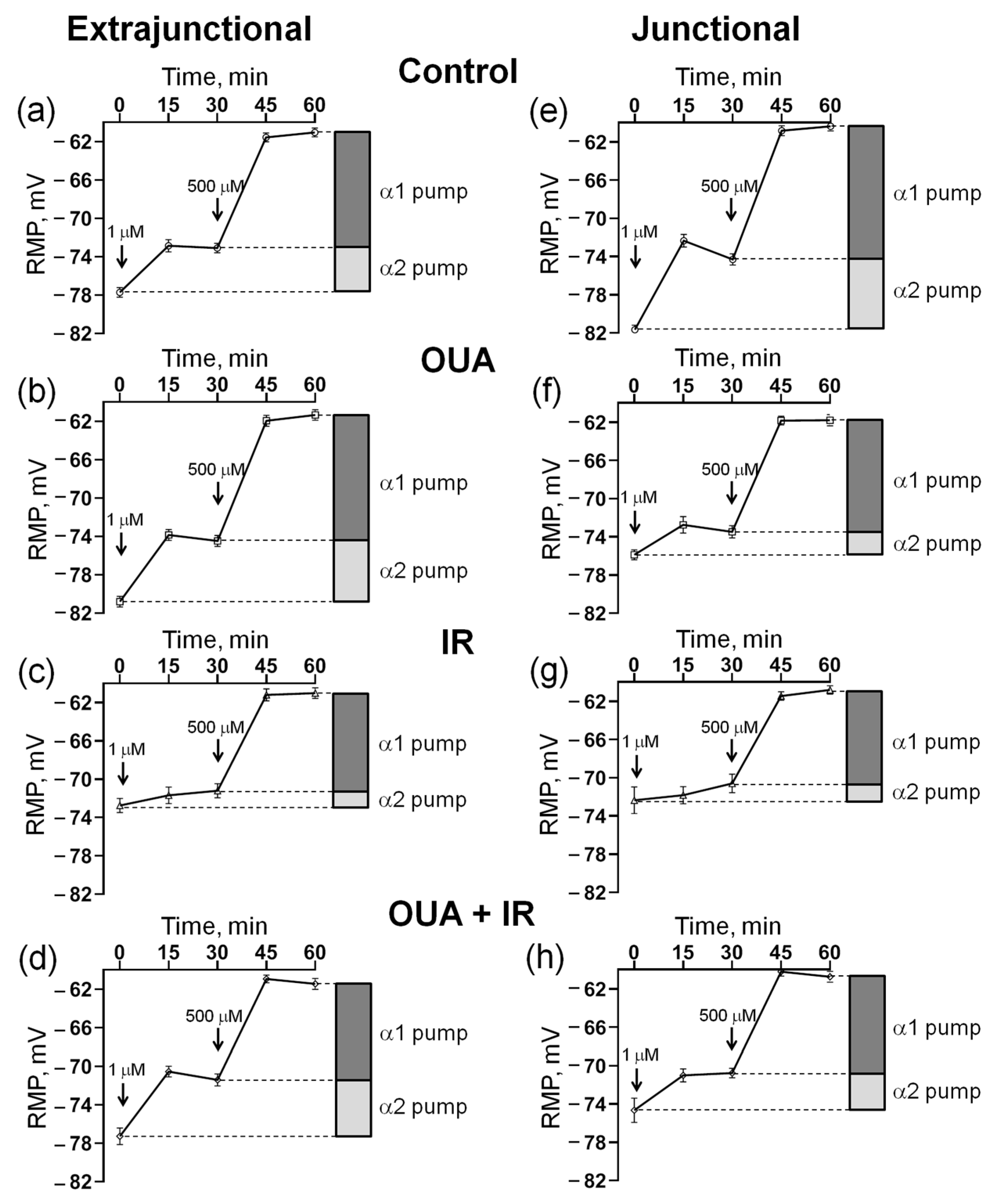 Ijms 23 10921 g004 Ijms 23 10921 g004