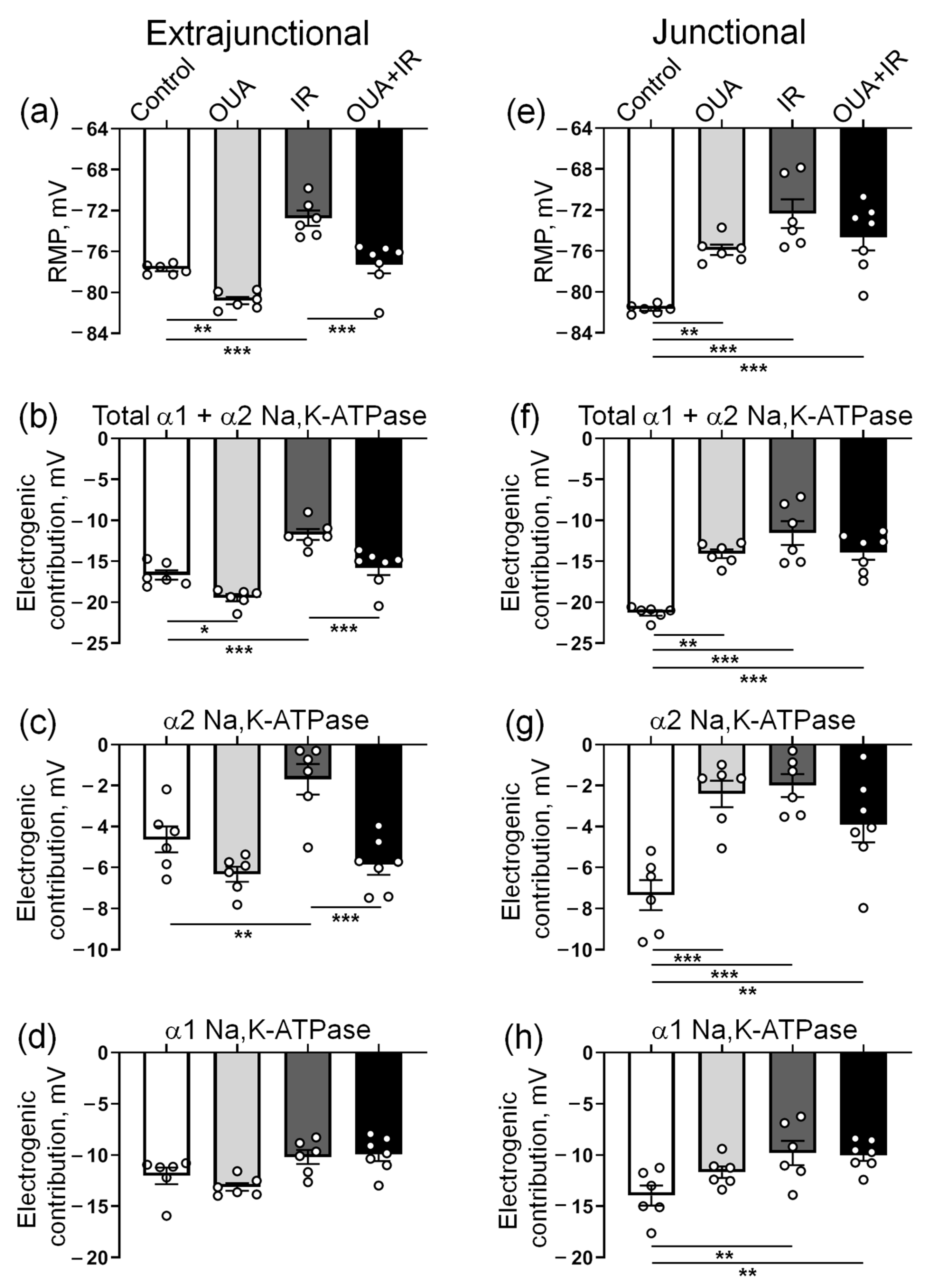 Ijms 23 10921 g005 Ijms 23 10921 g005