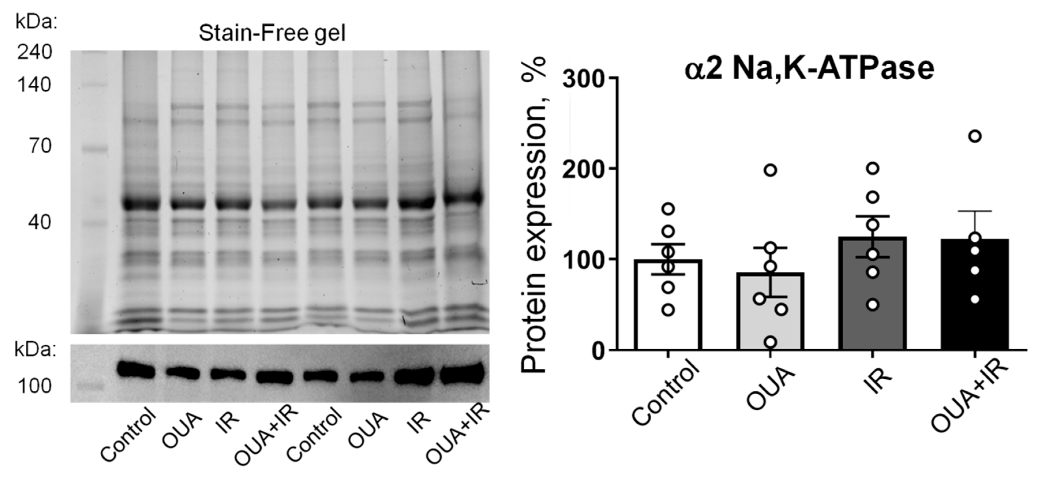 Ijms 23 10921 g006 Ijms 23 10921 g006