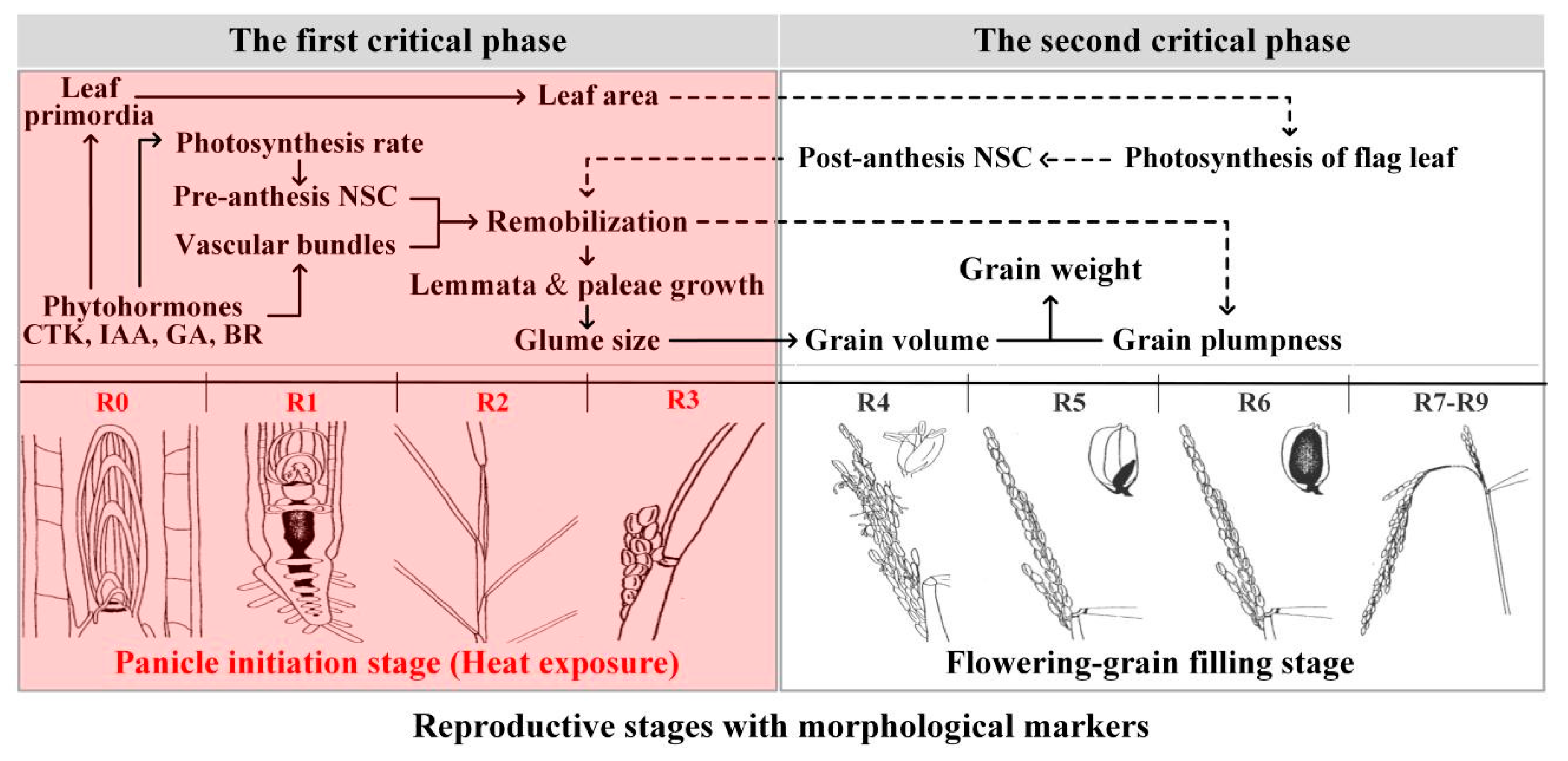 Ijms 23 10922 g002 Ijms 23 10922 g002