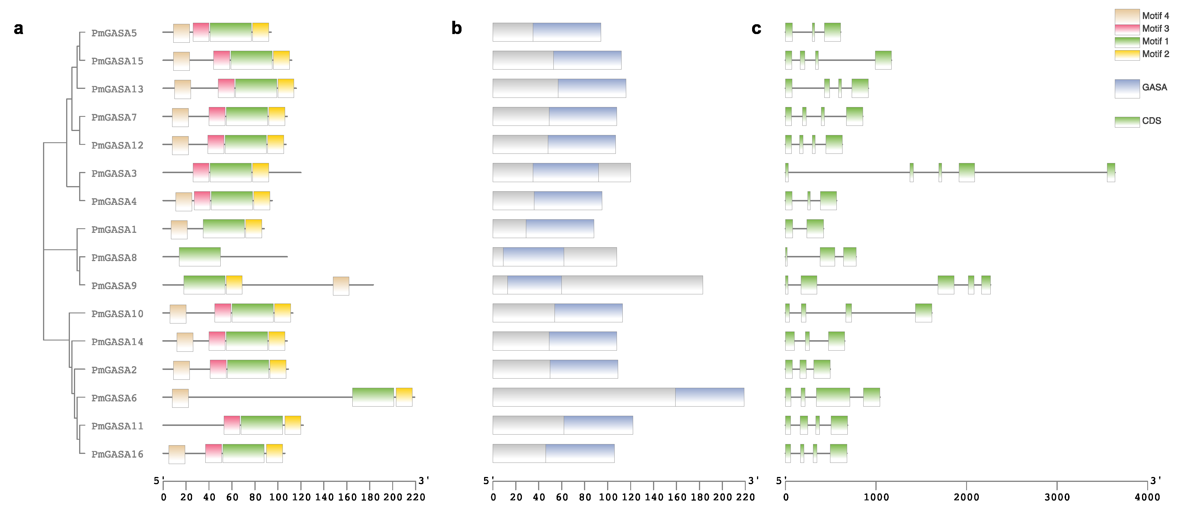 Ijms 23 10923 g001 Ijms 23 10923 g001
