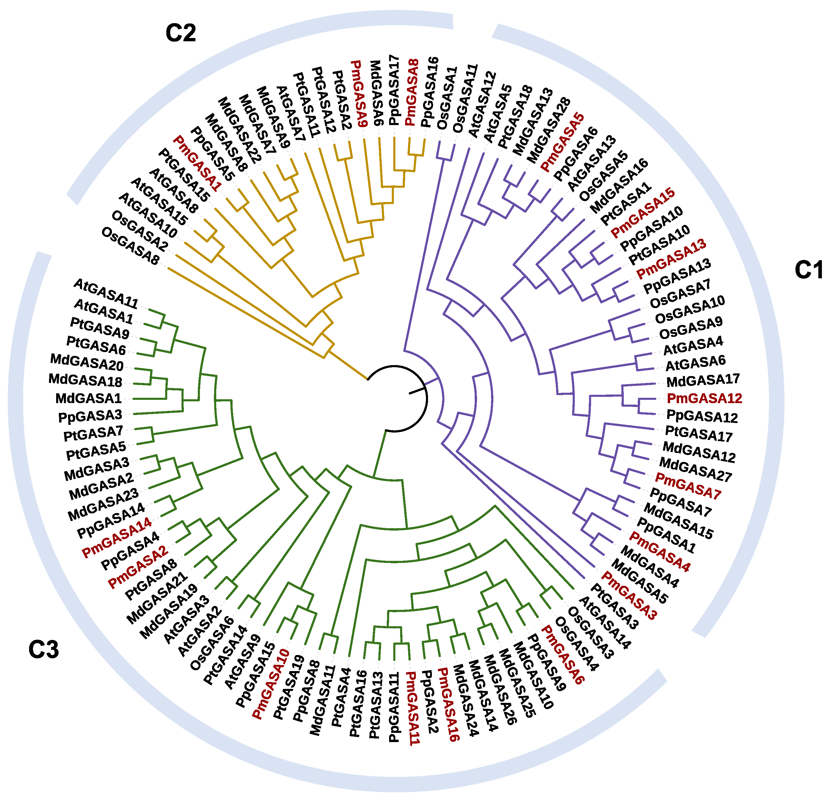 Ijms 23 10923 g003 Ijms 23 10923 g003