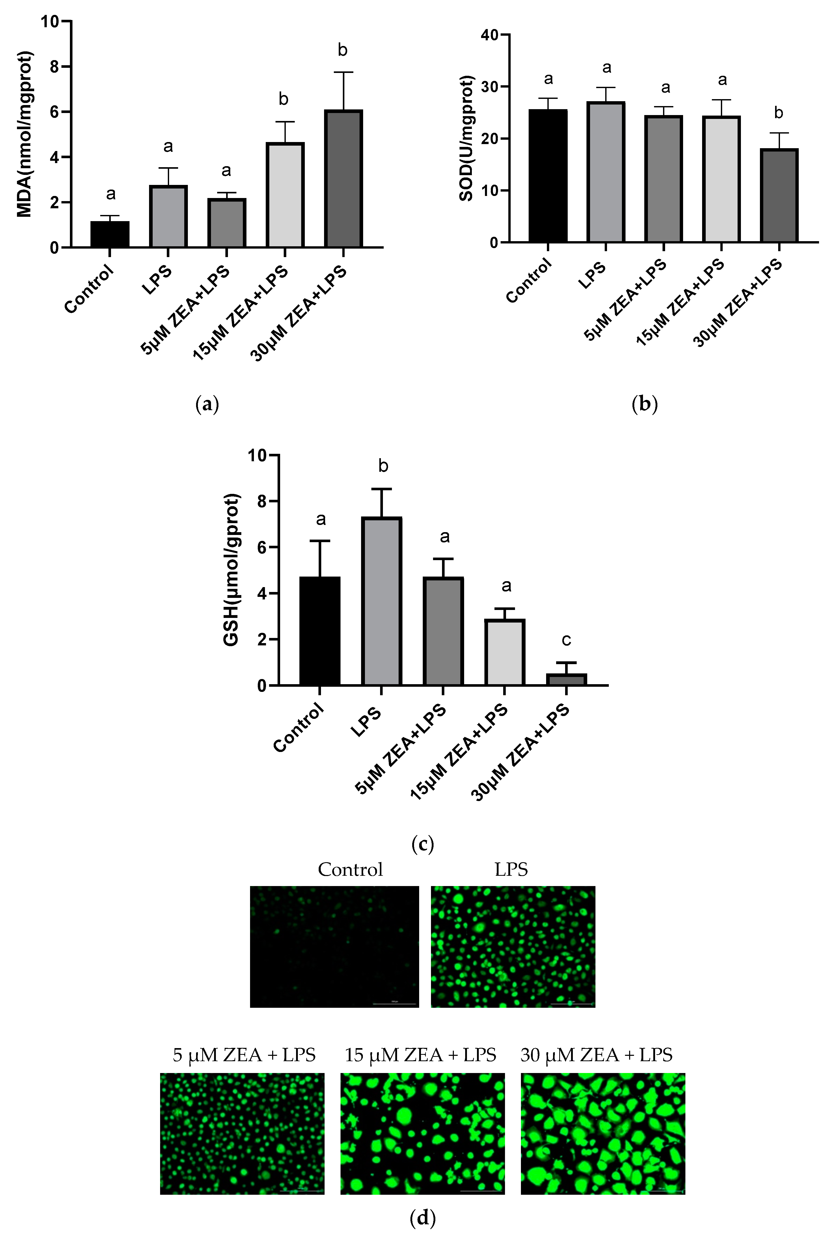Ijms 23 10925 g003a 550