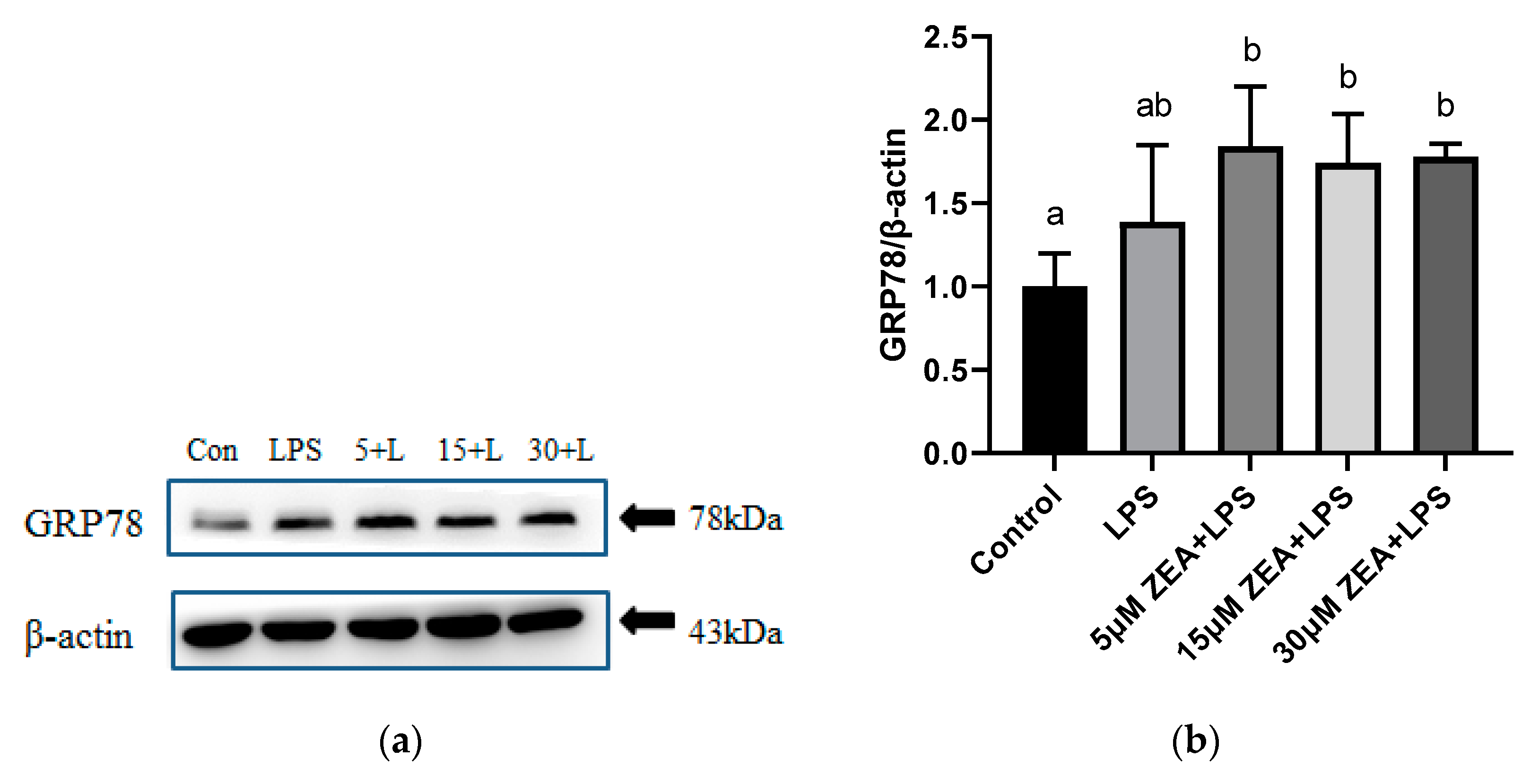 Ijms 23 10925 g005a 550